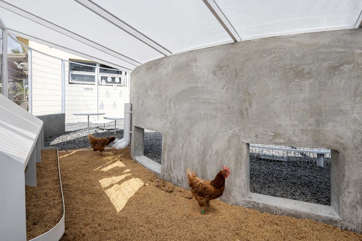 結合食物與農業教育提供多元學習體驗的雞舍，南河國小歐姆Ω 蛋計畫 Project Ω／絮絮空間感知