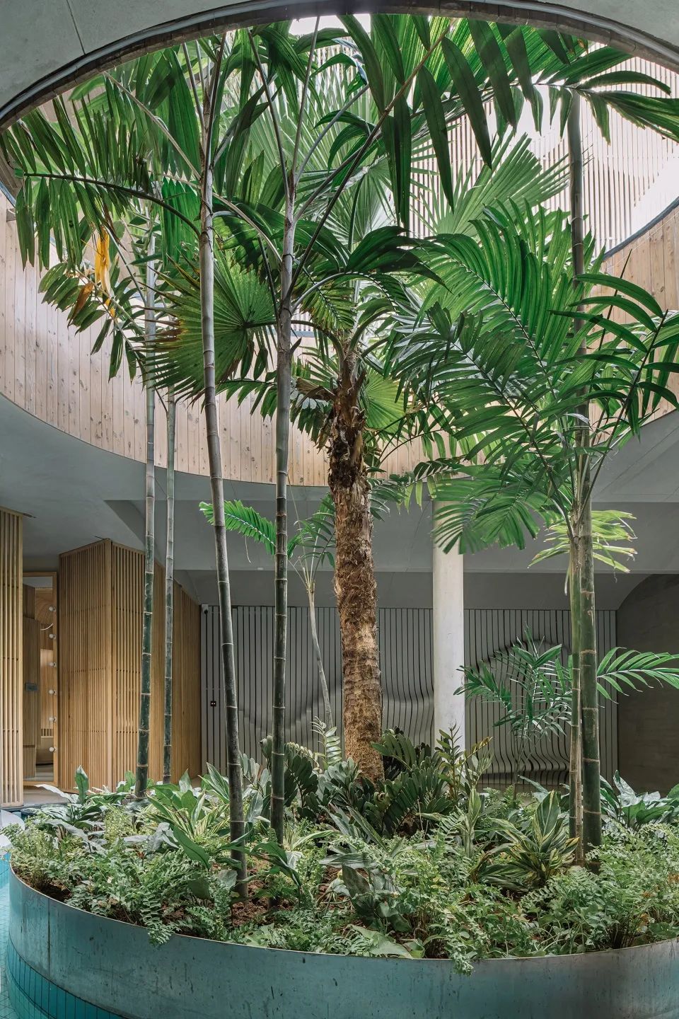 SPA 水療空間，精緻的綠色植栽