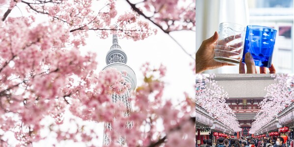 櫻花季暢遊押上、淺草區域 東京晴空塔特別推出優惠套票