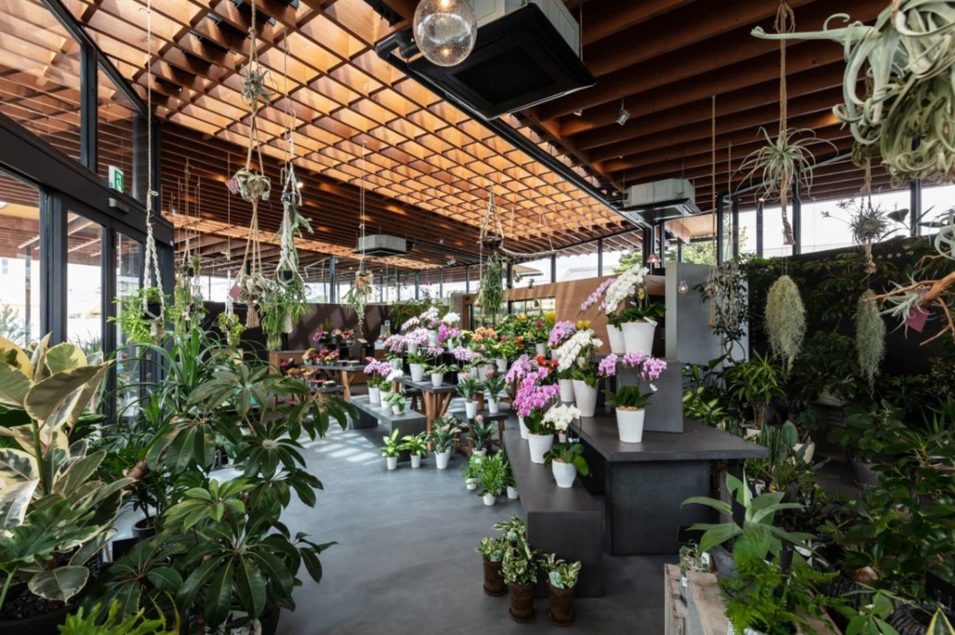 AOYAMA花苑／y+M design office 「AOYAMA花苑」是花卉綻放的天地，在姫路市的繁忙道路邊緣孕育出一片清新之地。空氣中瀰漫著泥土與花香的交織，宛如大自然的氣息。店內植物豐富，從地面到空中，綠葉伴隨著芬芳的花朵，各式盆栽巧妙排列，如詩如畫。木構天花板和透明玻璃讓光線流連