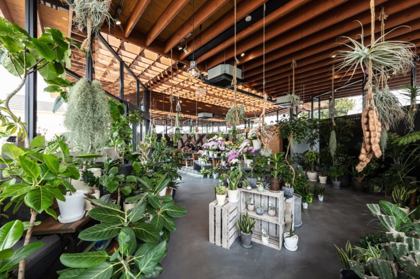 AOYAMA花苑／y+M design office 「AOYAMA花苑」是花卉綻放的天地，在姫路市的繁忙道路邊緣孕育出一片清新之地。空氣中瀰漫著泥土與花香的交織，宛如大自然的氣息。店內植物豐富，從地面到空中，綠葉伴隨著芬芳的花朵，各式盆栽巧妙排列，如詩如畫。木構天花板和透明玻璃讓光線流連
