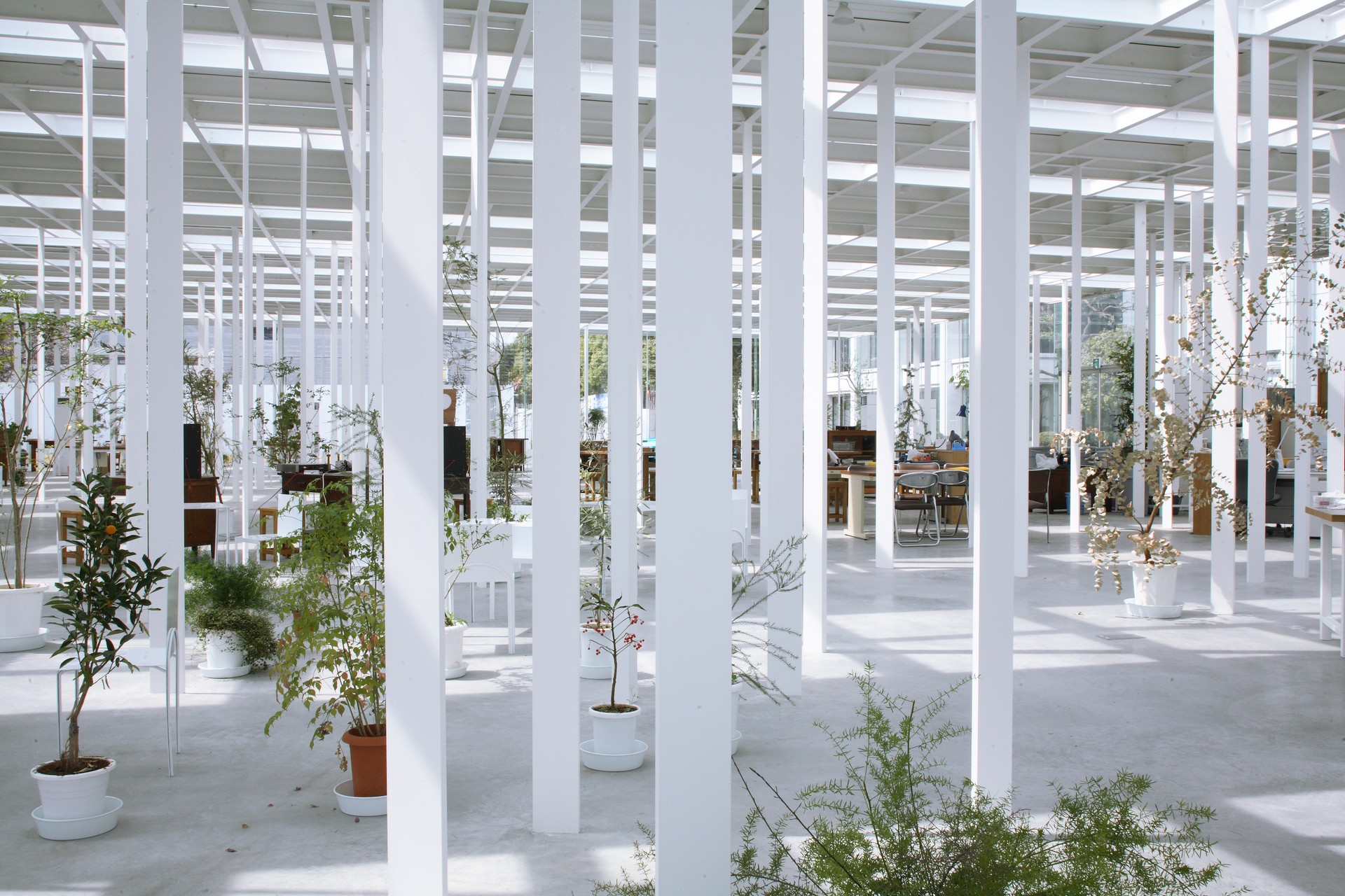 神奈川工科大學的KAIT工房，一座白色的綠意空間，這裡不僅有教育的氛圍，還有藝術的氣息。細長的鋼柱排列成一幅有機的節奏，植物在這個節奏中悠然成長，學子們在這裡閱讀、討論，或是沈浸在自己的創作中。建築師石上純也將結構轉化為景觀，讓學習與自然對話，在這個充滿生機的場所，靈感在自由的空間中生根發芽