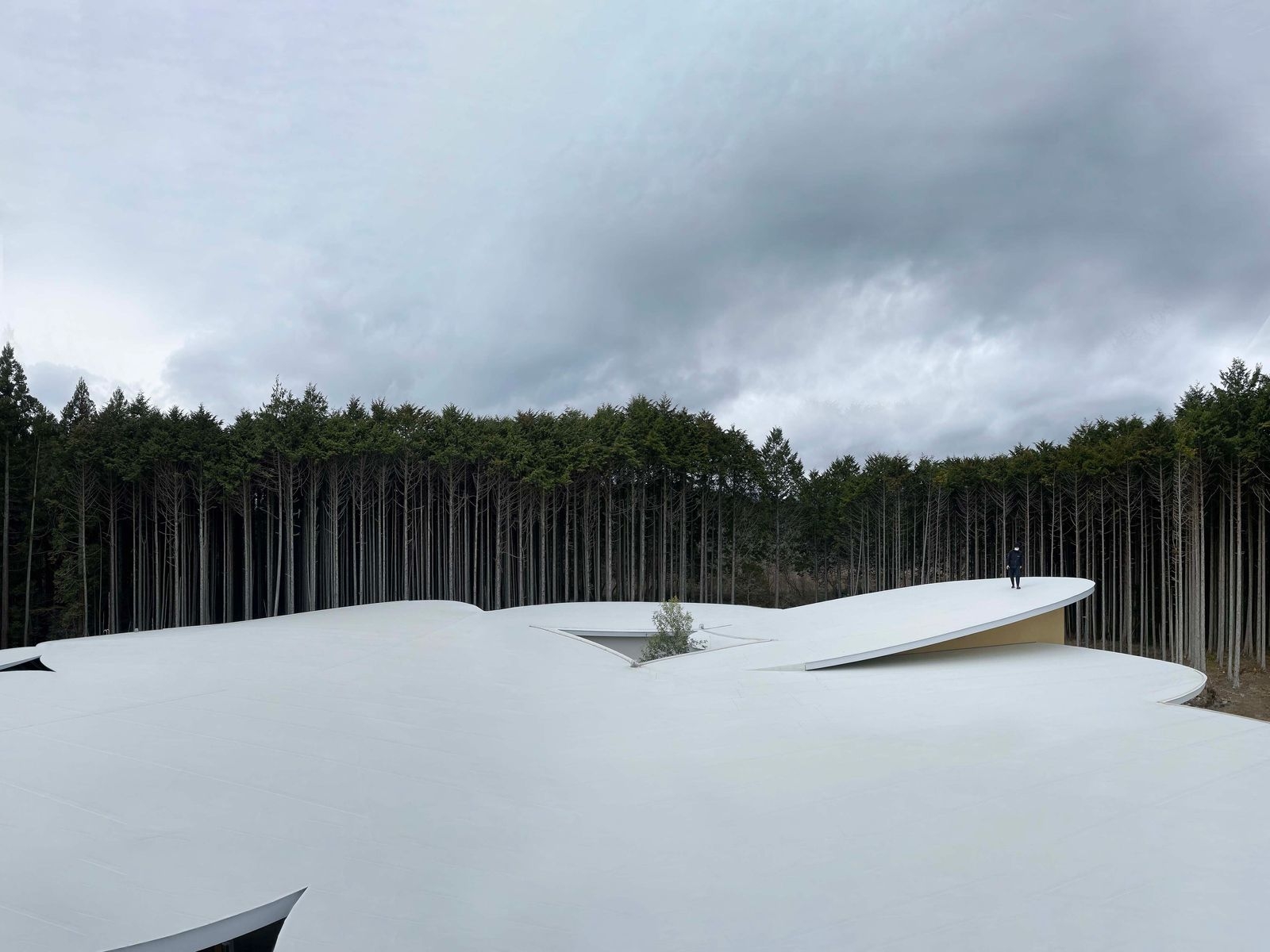 與富士山共舞的兒童樂園！靜岡縣「高嶺の森のこども園」幼兒園：讓孩子在四季更迭中感受自然的美麗／山下貴成建築設計事務所