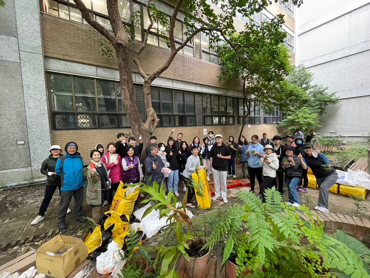 北科大的蕨園是由建築系師生與校友共同在蕨類專家的帶領下從木作、拌土與栽種,悉心打造完成。 北科大/提供
