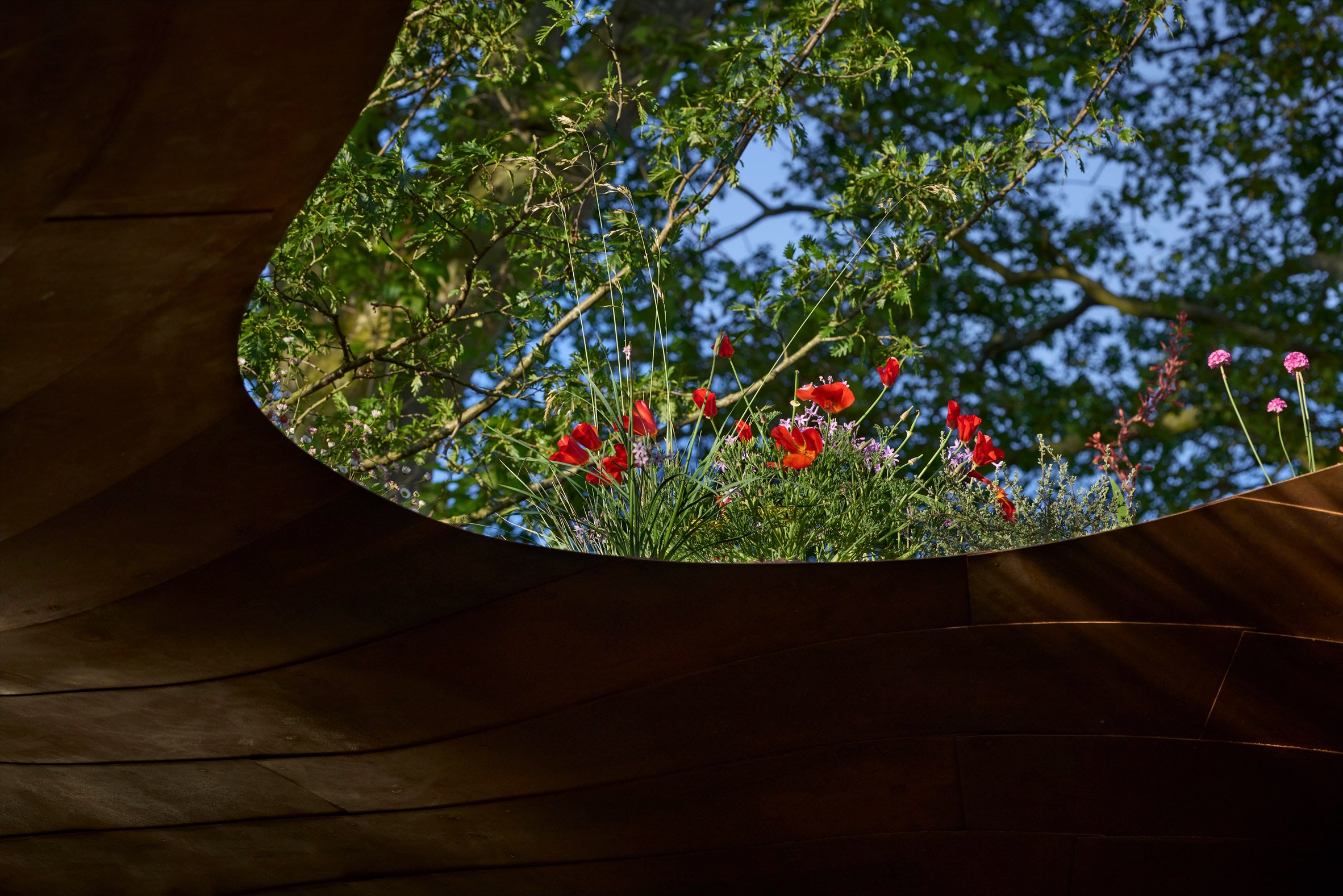 WaterAid 雨水收集綠建築 倫敦切爾西花卉展 RHS Chelsea Flower Show Je Ahn Tom Massey