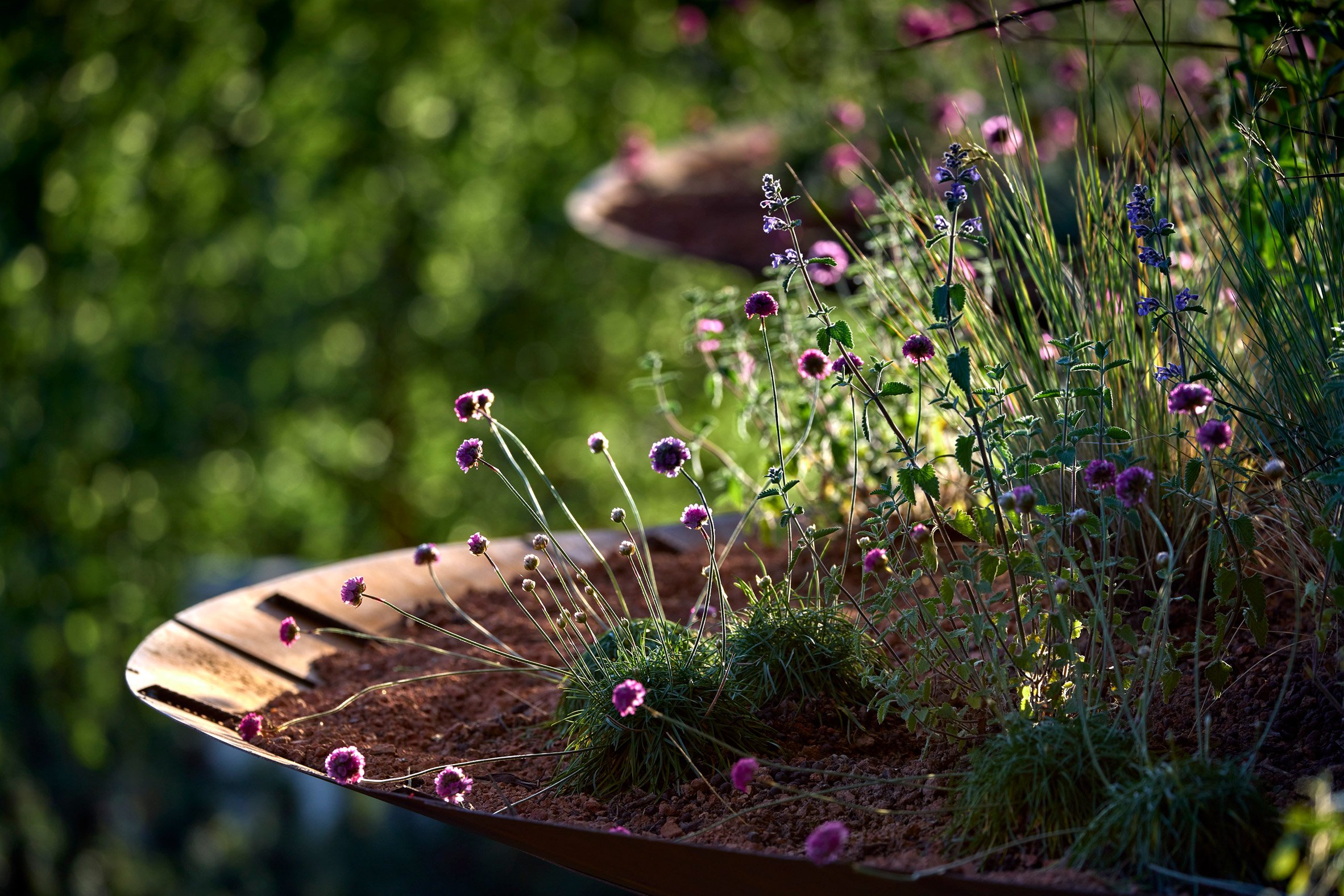 WaterAid 雨水收集綠建築 倫敦切爾西花卉展 RHS Chelsea Flower Show Je Ahn Tom Massey