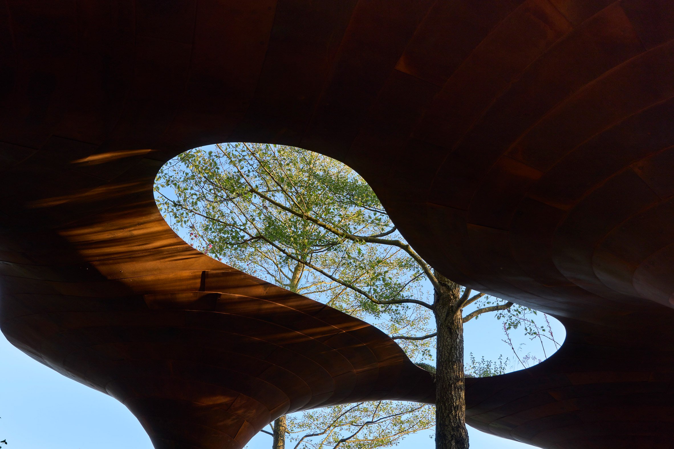 WaterAid 雨水收集綠建築 倫敦切爾西花卉展 RHS Chelsea Flower Show Je Ahn Tom Massey
