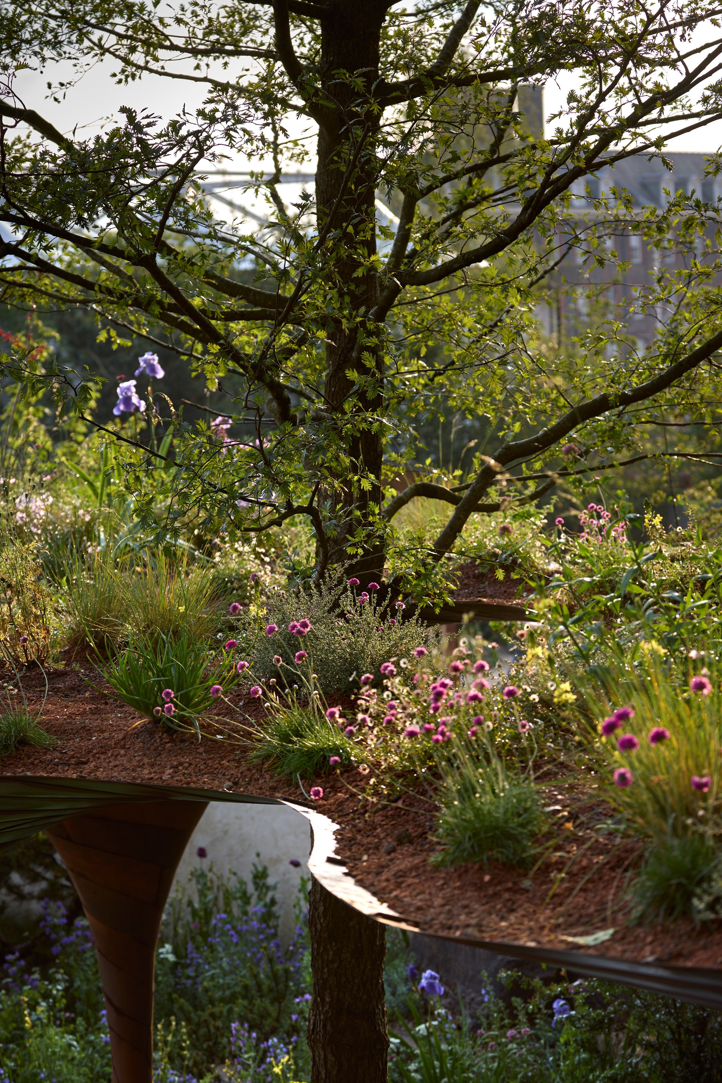WaterAid 雨水收集綠建築 倫敦切爾西花卉展 RHS Chelsea Flower Show Je Ahn Tom Massey