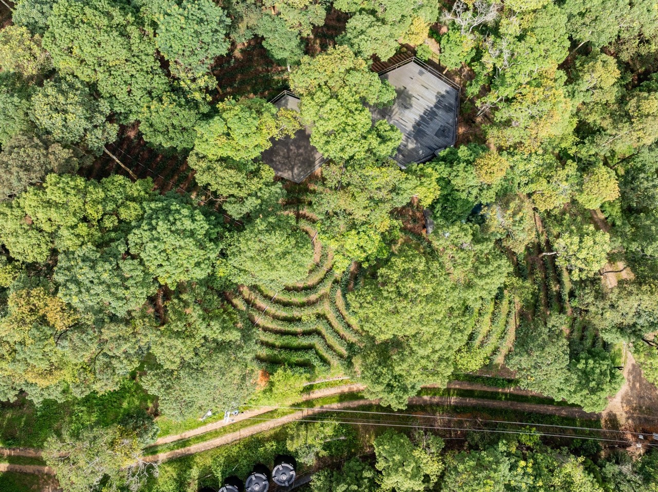 兼顧生態、低碳、環境友善等綠色旅遊概念,致力維持在地適性發展。森形埔里農莊/提供