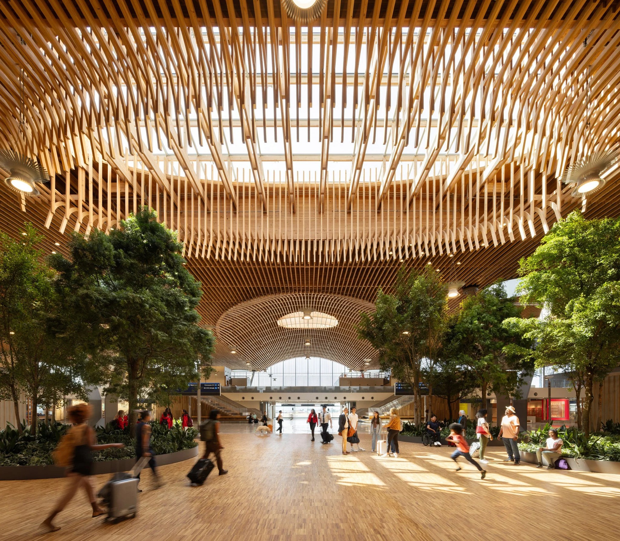 ZGF Architects 將機場屋頂結構比作森林生態系統中的「頂層」,即樹冠層頂端的保護性枝幹。這個波浪形的籃狀拱形結構由 34 根 Y 形混凝土柱支撐,柱子向上延伸 約 11 米至航站樓地面上方