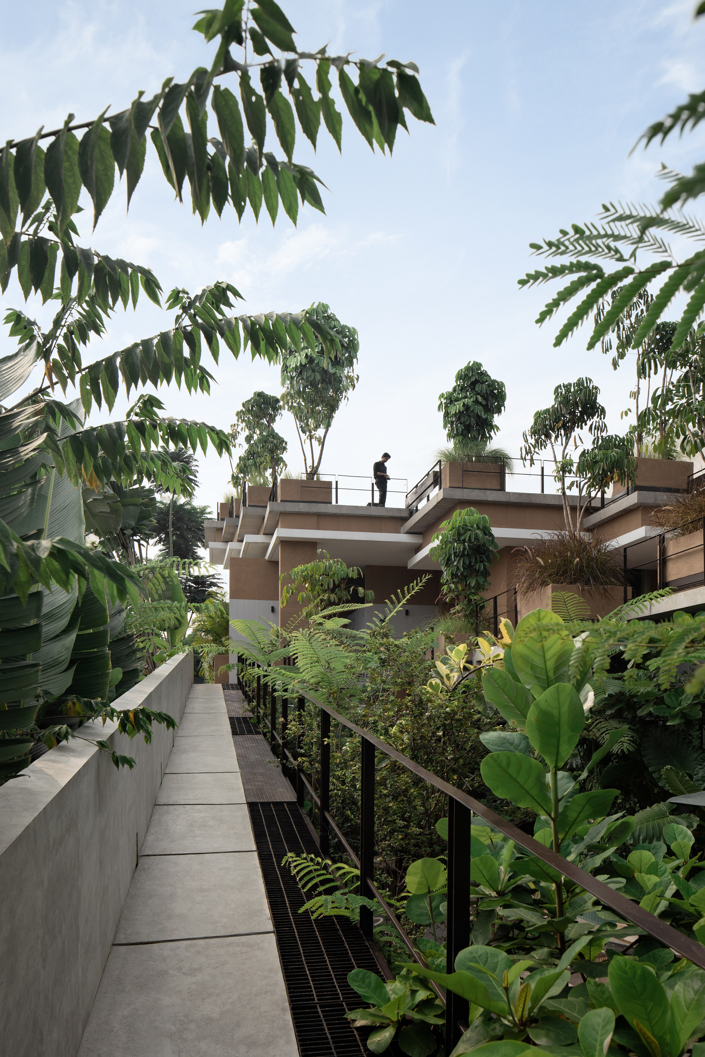 雅加達 印尼建築師事務所RAD+ar（Research Artistic Design + architecture  Aruma restaurant and bar 酒吧餐廳