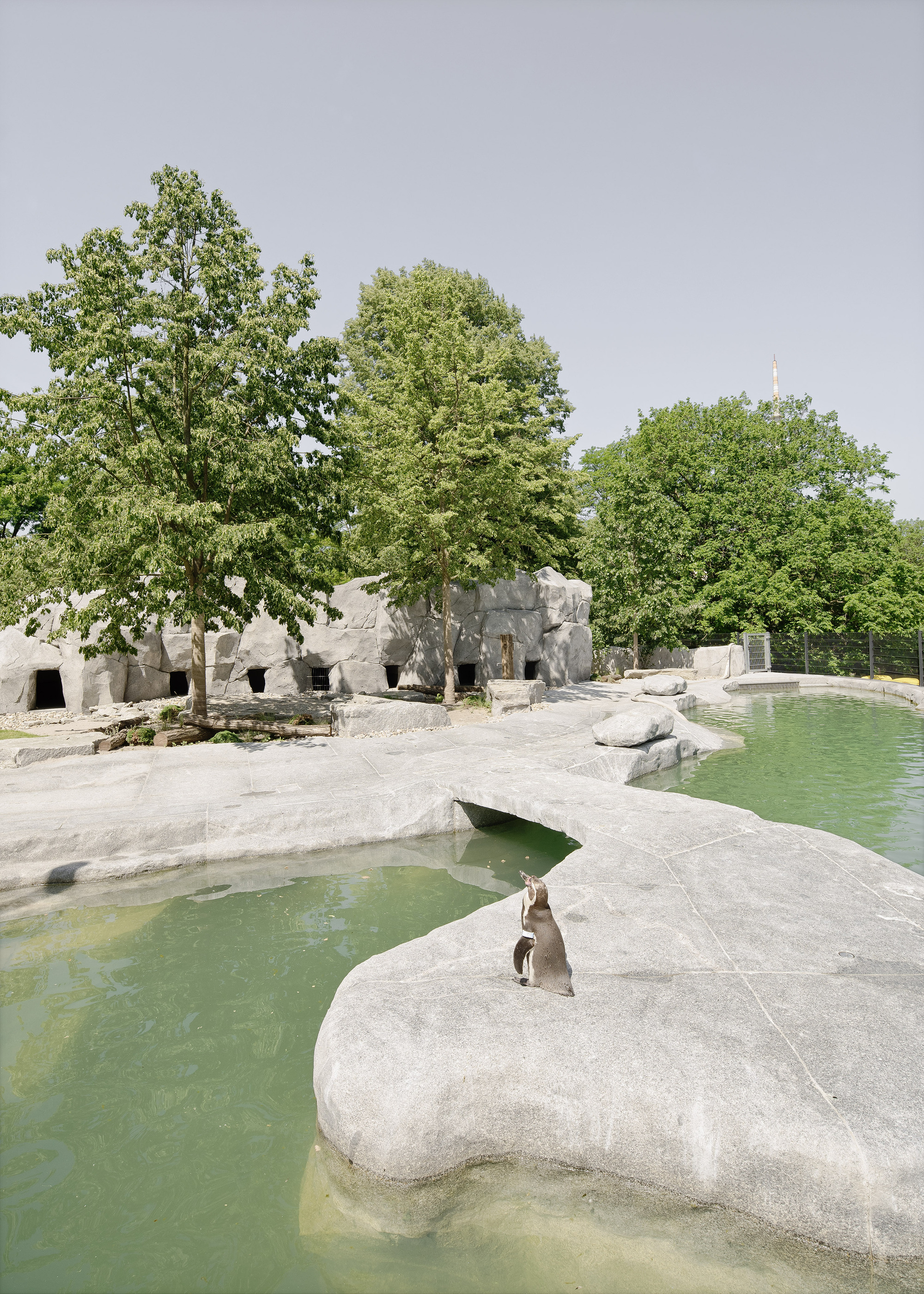 Green Experience Center Luisenpark德國蘆森公園綠色體驗中心  Bez+Kock Architekten