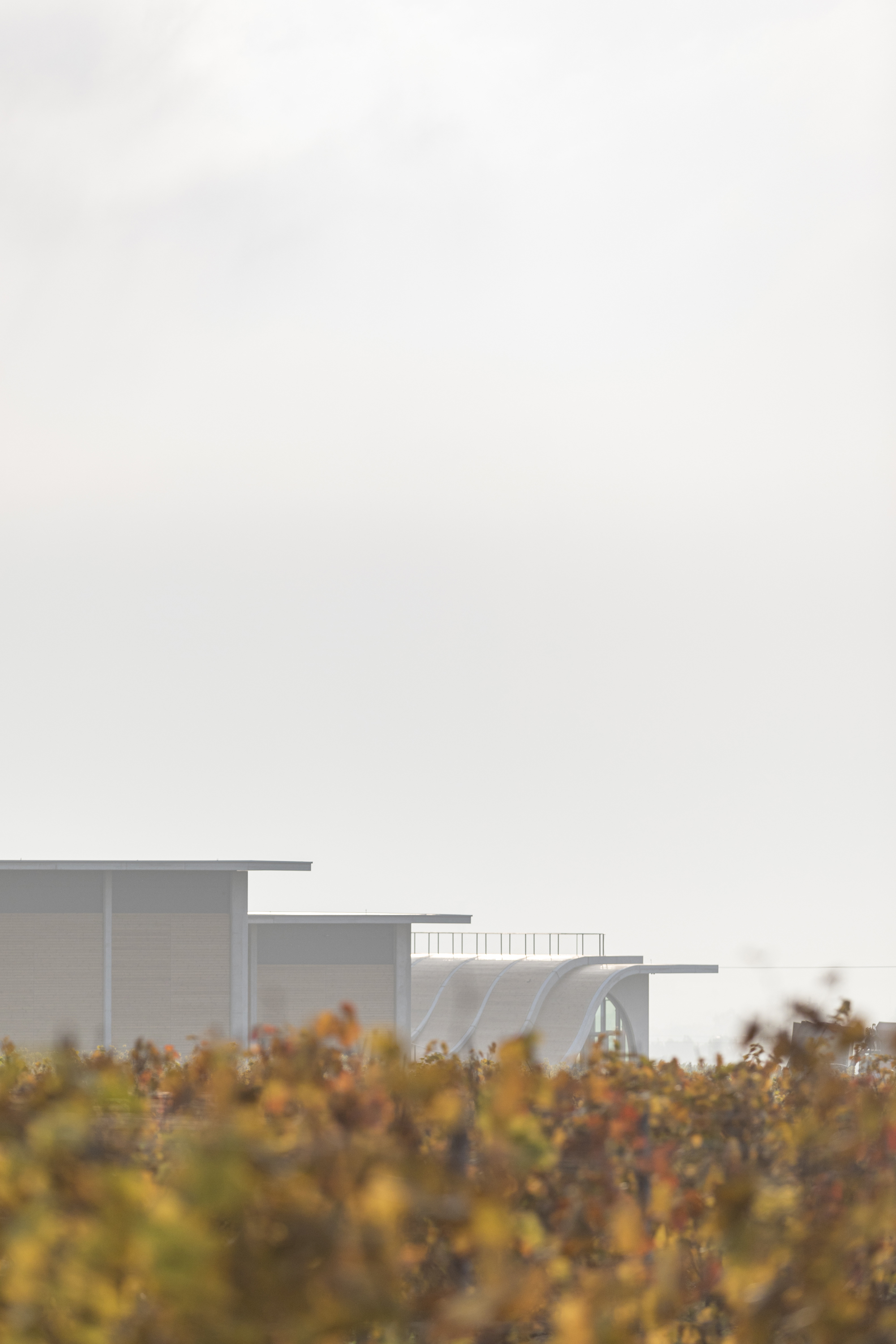 捷克酒莊 Lahofer Winery