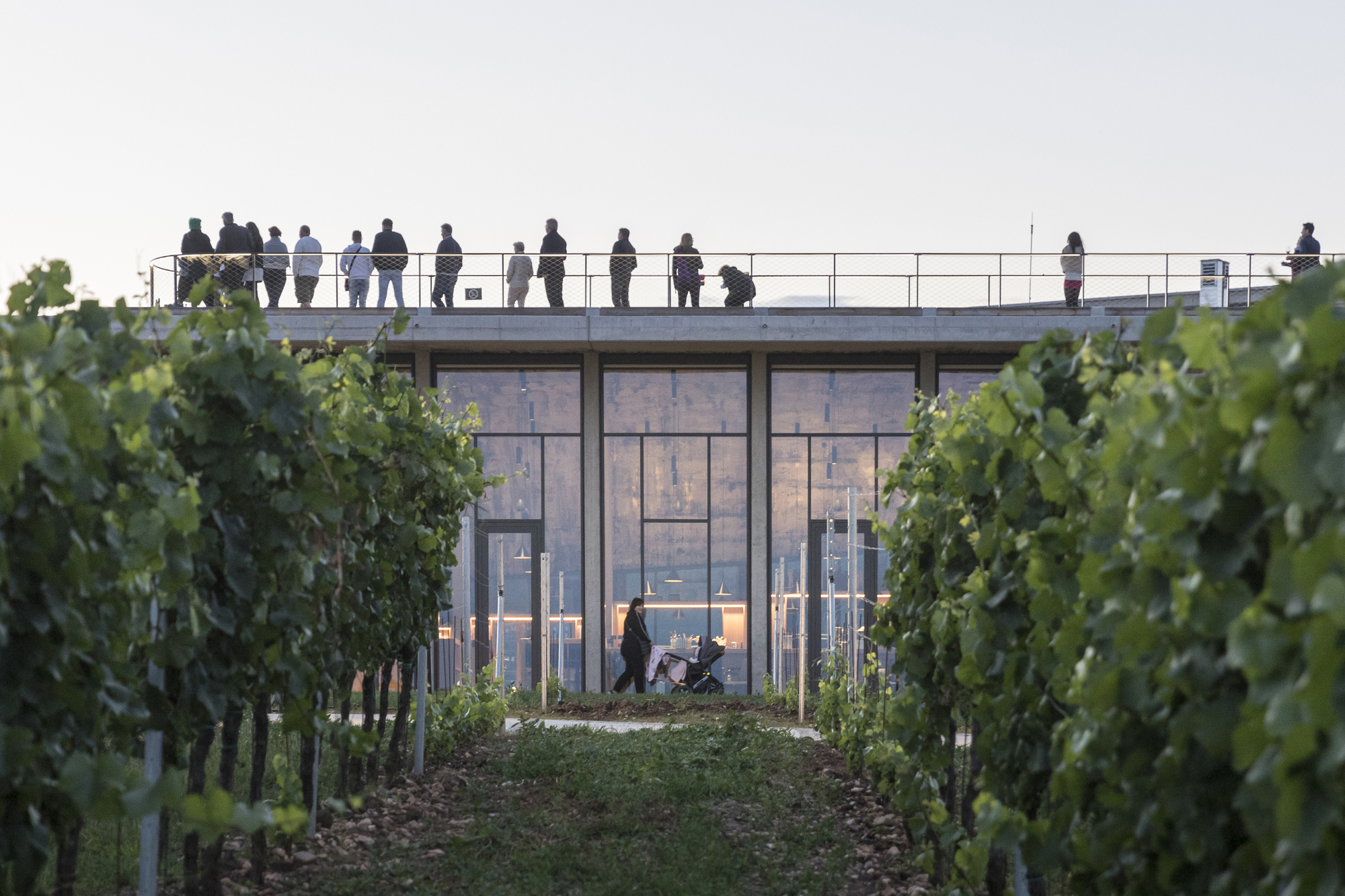 捷克酒莊 Lahofer Winery