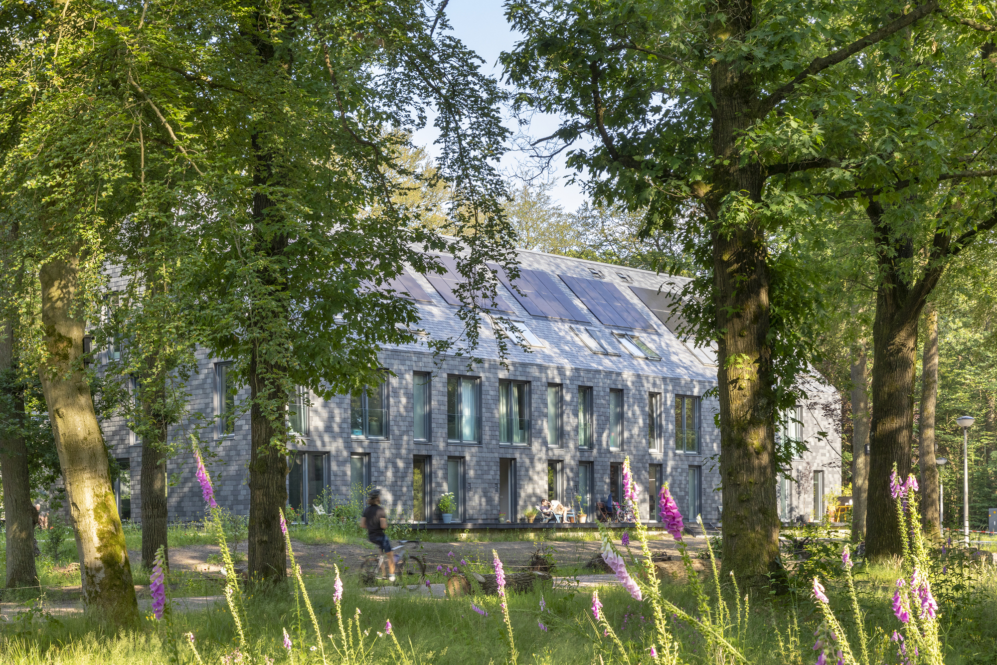 荷蘭Arnhem Buitenplaats Koningsweg開發案 文化設施、住宅、集合住宅、舊建築改造、荷蘭建築 KWP Gebiedsontwikkelaars Buro Harro MVRDV Buro Harro 的景觀設計師 Harro de Jong 表示,他們的設計理念是「將 Veluwe 森林景觀像毯子一樣覆蓋整個基地」,呼應基地過去的偽裝策略。他們盡量減少使用硬鋪面,只保留狹窄的步道,讓自然在建築之間蓬勃發展
