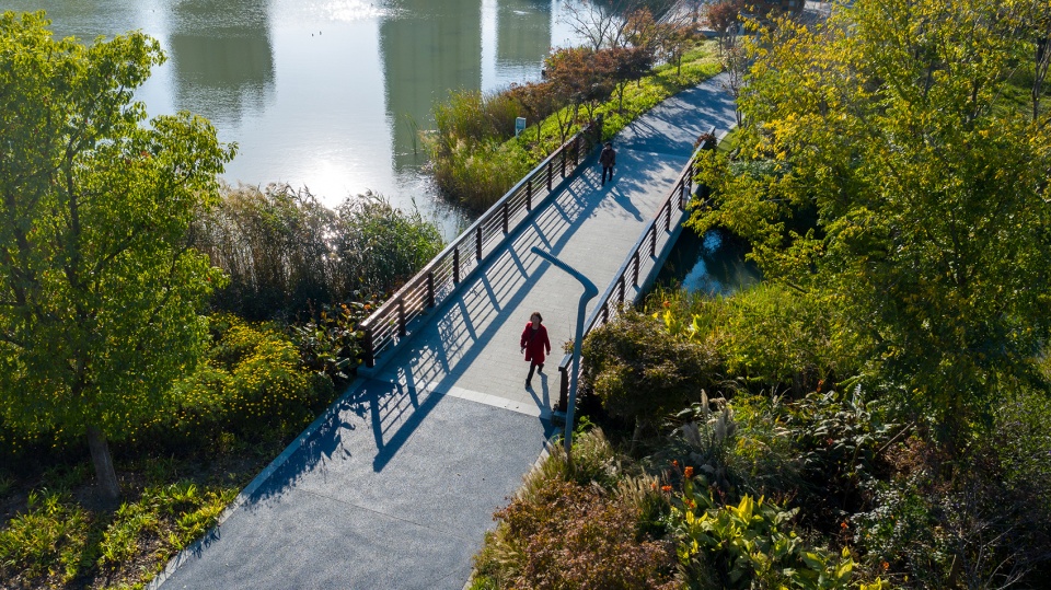 PLAT Studio 景觀設計 昆山市城市生態森林公園西入口