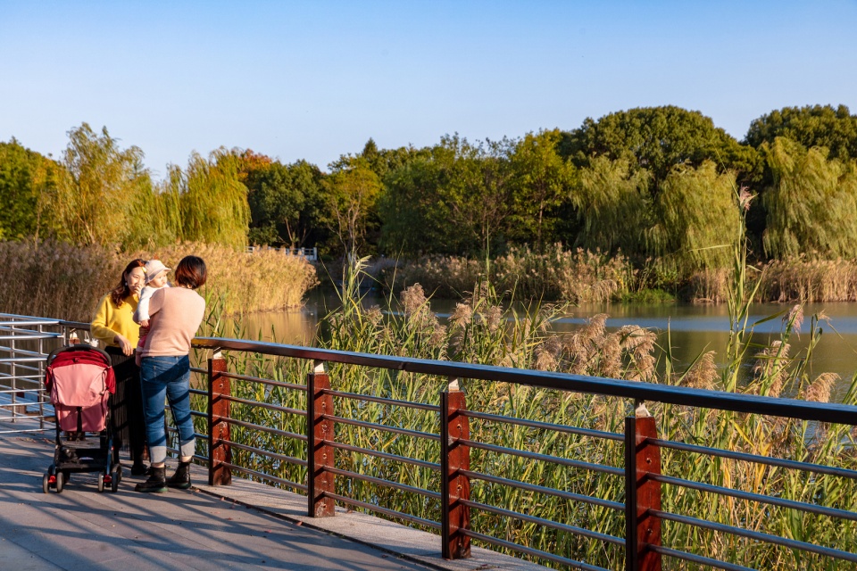 PLAT Studio 景觀設計 昆山市城市生態森林公園西入口