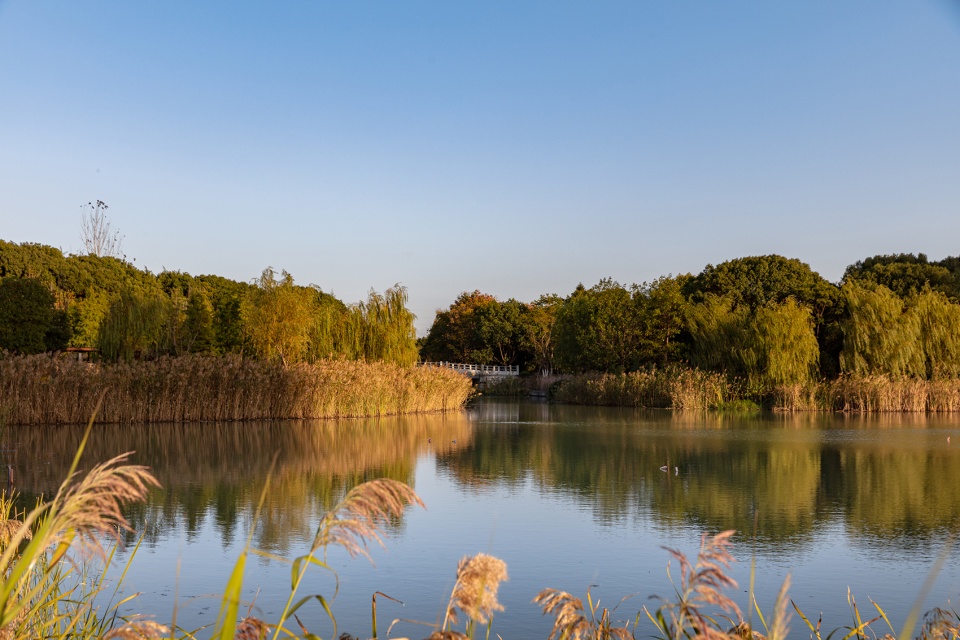 不同年度與時節的昆山森林公園風貌