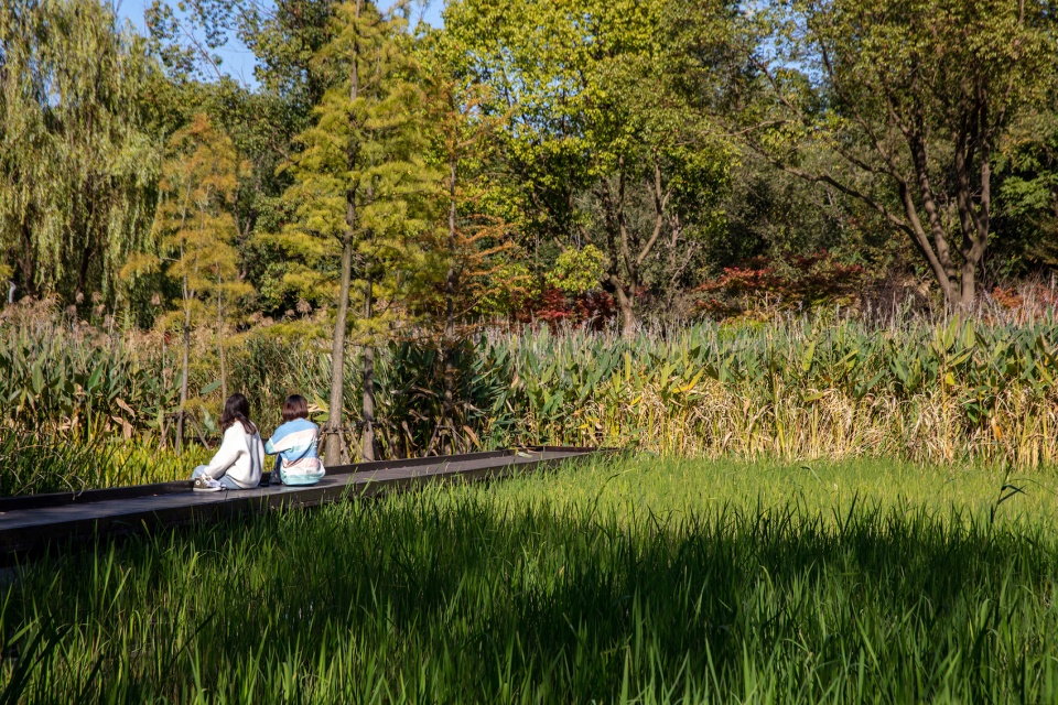 PLAT Studio 景觀設計 昆山市城市生態森林公園西入口