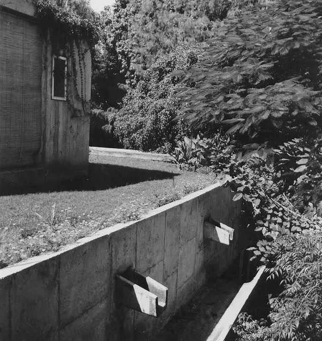 種植草皮的綠屋頂 ©Arvind J. Talati 1958