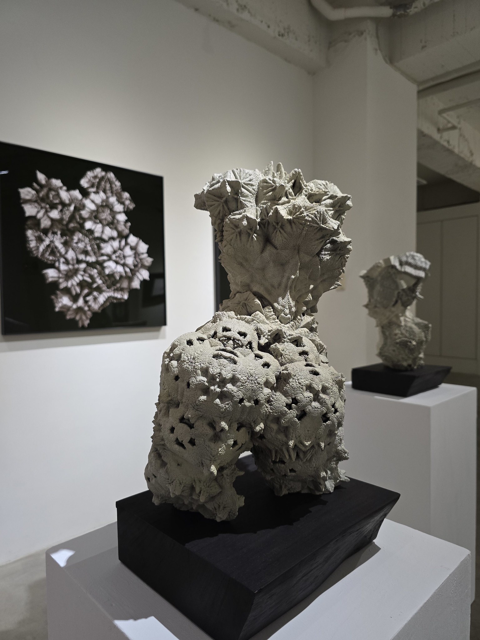 李宸安參展作品Caryatid