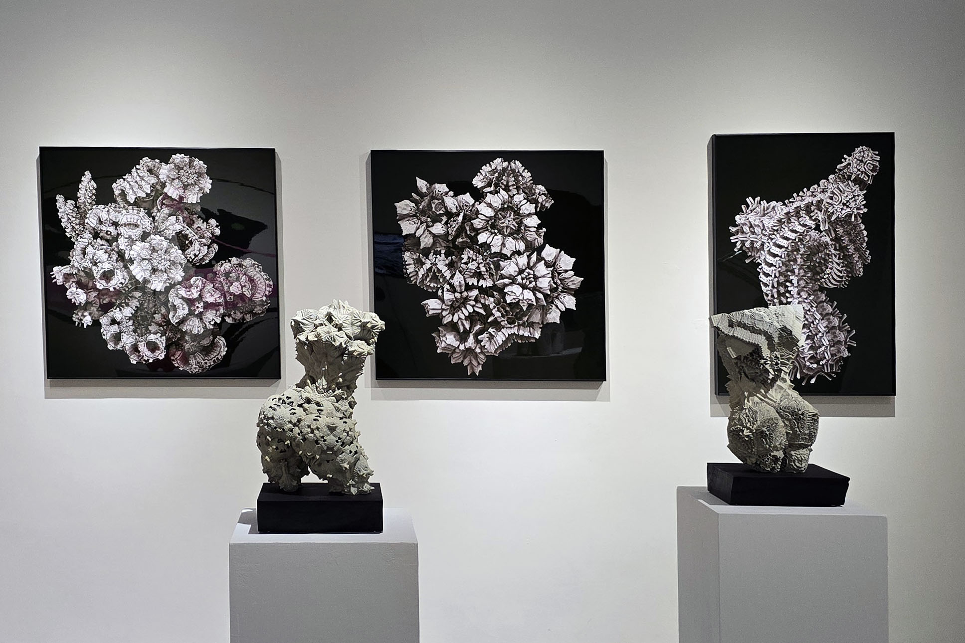 李宸安參展作品