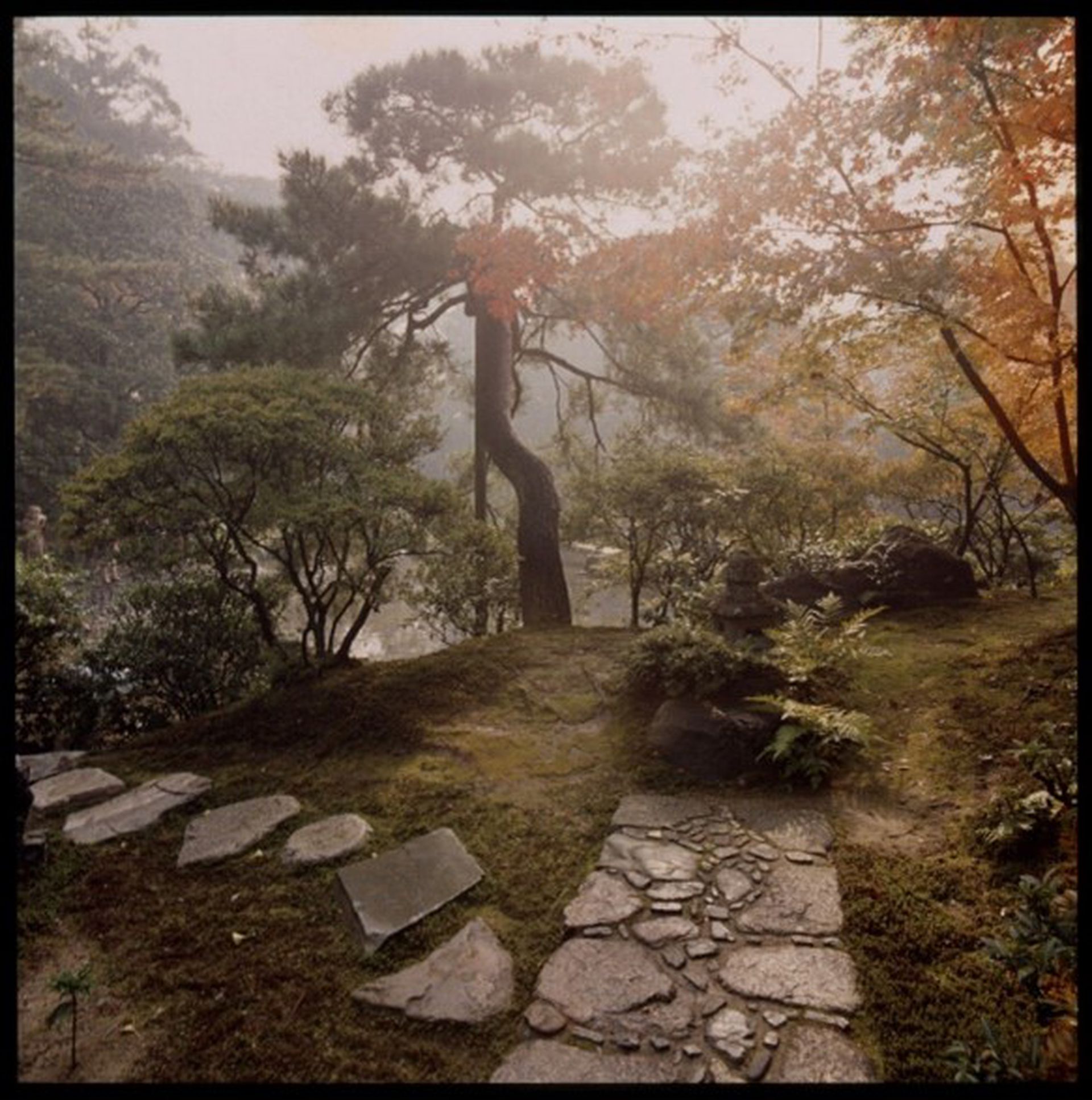 亞瑟·埃里克森(Arthur Erickson,攝影師),《桂離宮花園》(Katsura Imperial Villa Garden),日本京都,1961年,120反轉片。ARCH289164,加拿大建築中心(CCA)亞瑟·埃里克森檔案館藏。埃里克森家族捐贈 © Emily Erickson McCullum 和 Christopher Erickson
