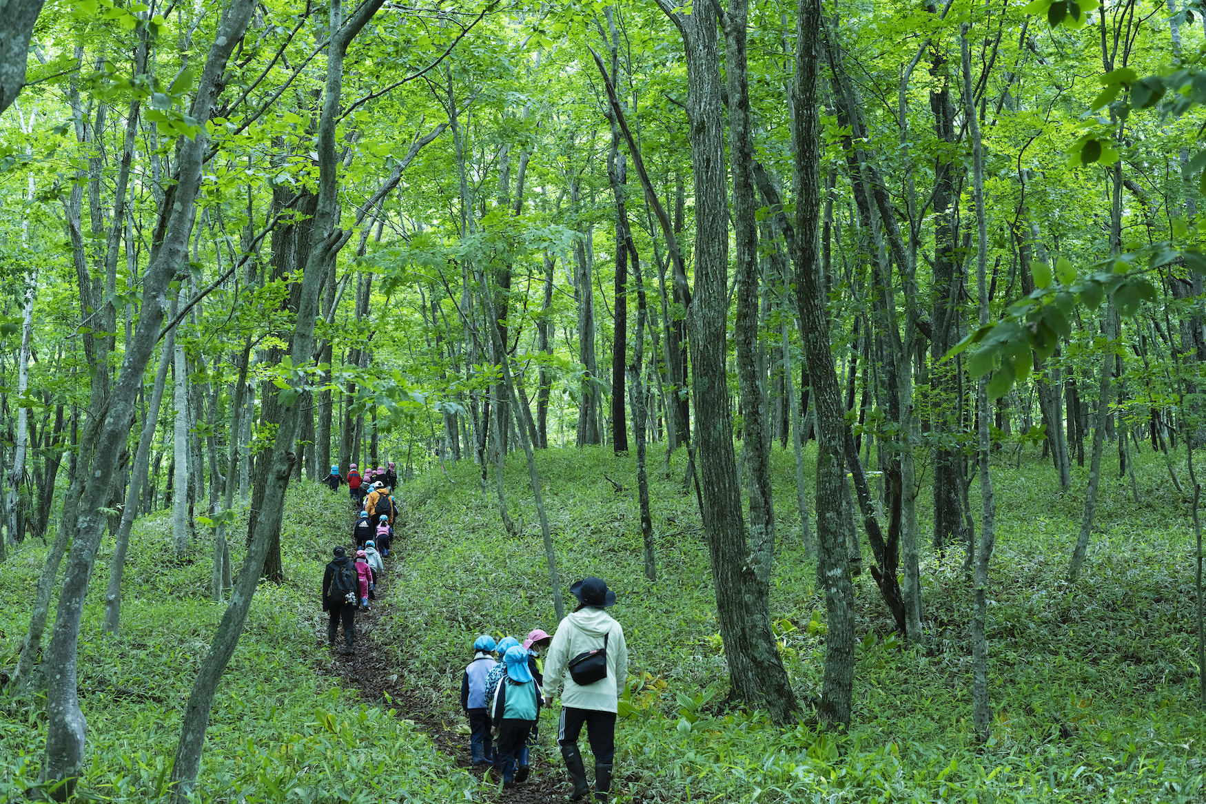 北海道木構木造幼兒園浦河之友森林幼兒園（浦河フレンド森のようちえん）Urakawa Friend Mori Noyochien 照井康穗建築師事務所（YASUO TERUI Architects）