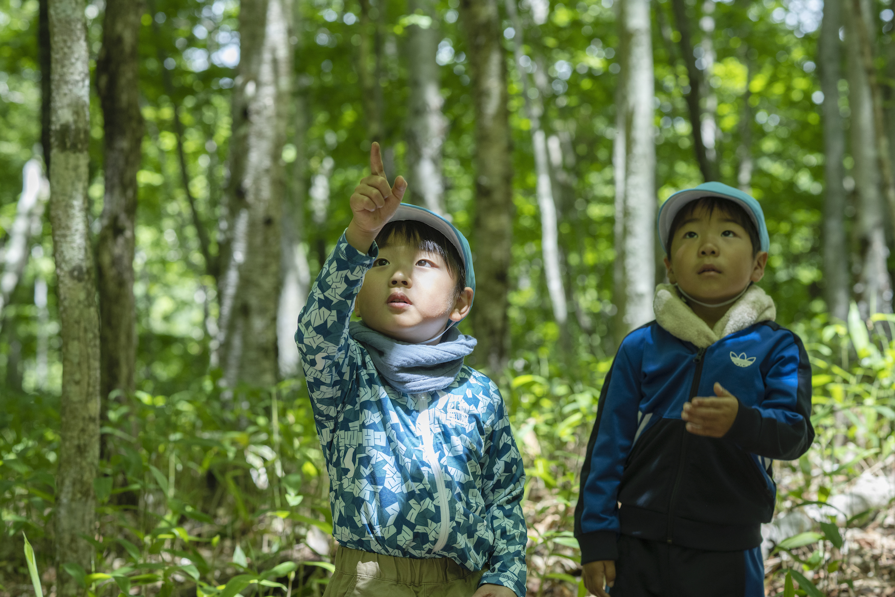 北海道木構木造幼兒園浦河之友森林幼兒園（浦河フレンド森のようちえん）Urakawa Friend Mori Noyochien 照井康穗建築師事務所（YASUO TERUI Architects）