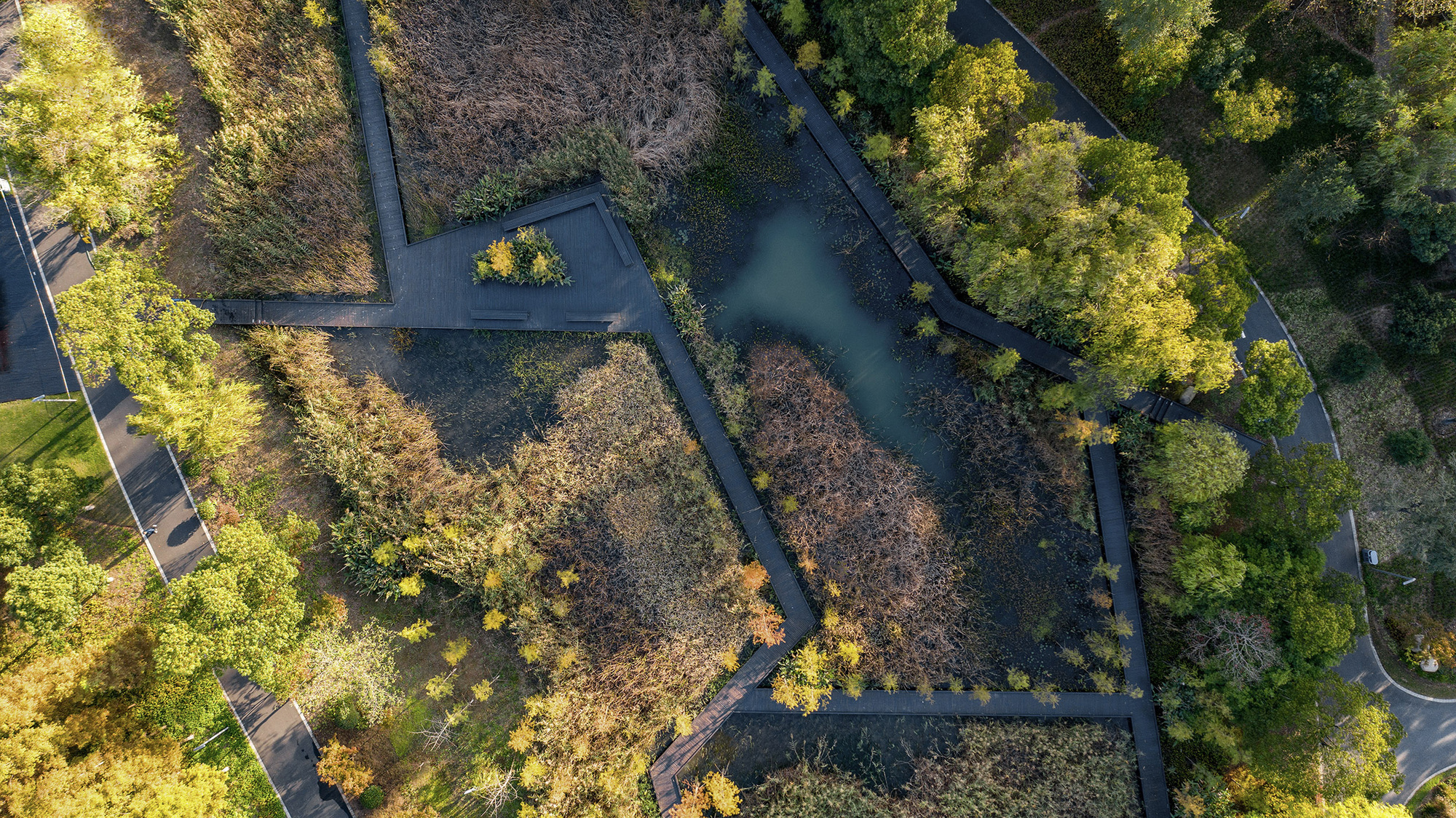 穿過濕地的木板棧道俯瞰，Aerial view of boardwalk through wetland ©直譯攝影