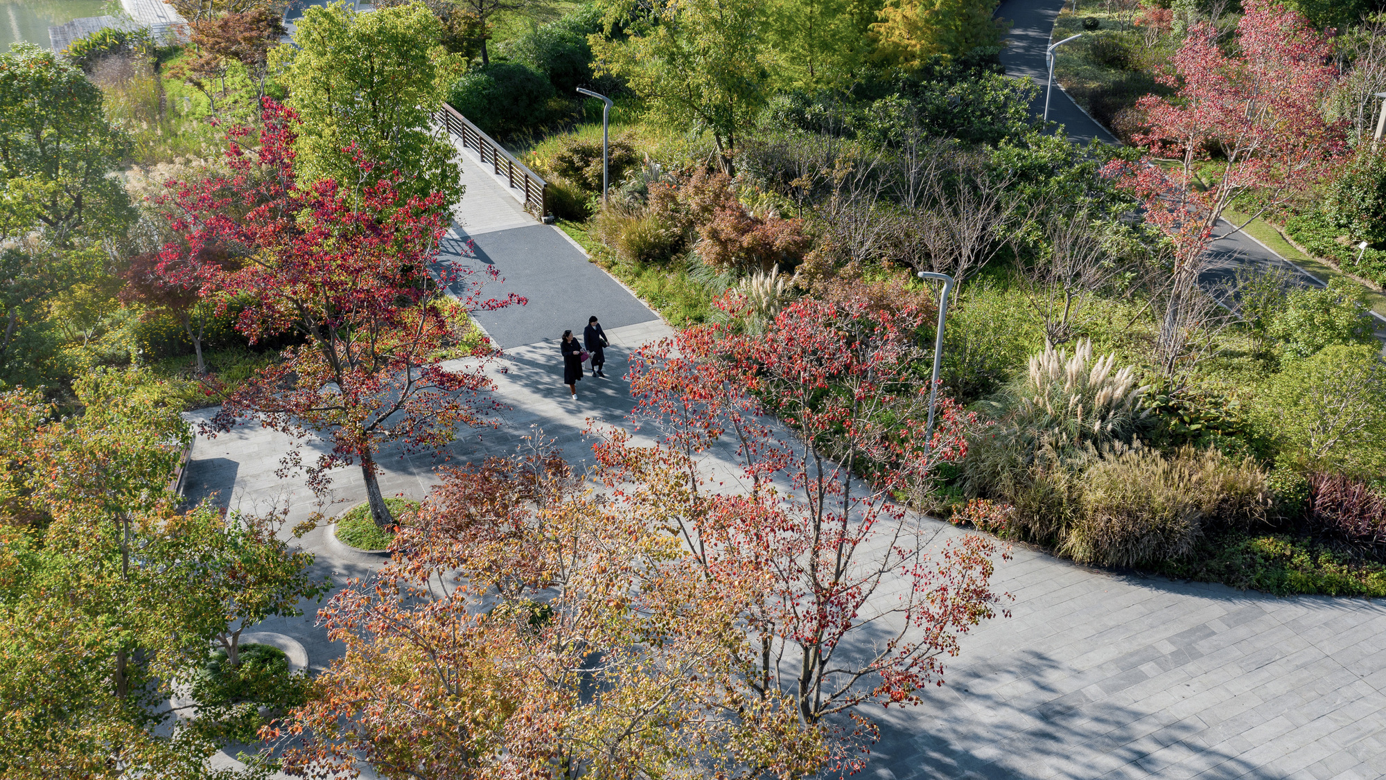 附近居民使用過橋及步道享受自然生活空間 ©直譯攝影
Welcoming neighbors use the entry bridge and trails to enjoy the natural living space.