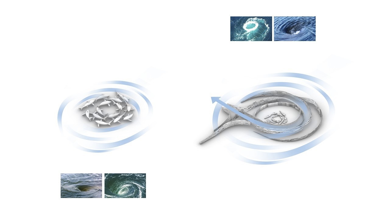 印尼海上木構平台 觀賞鯊魚 Pusaran Ocean Deck