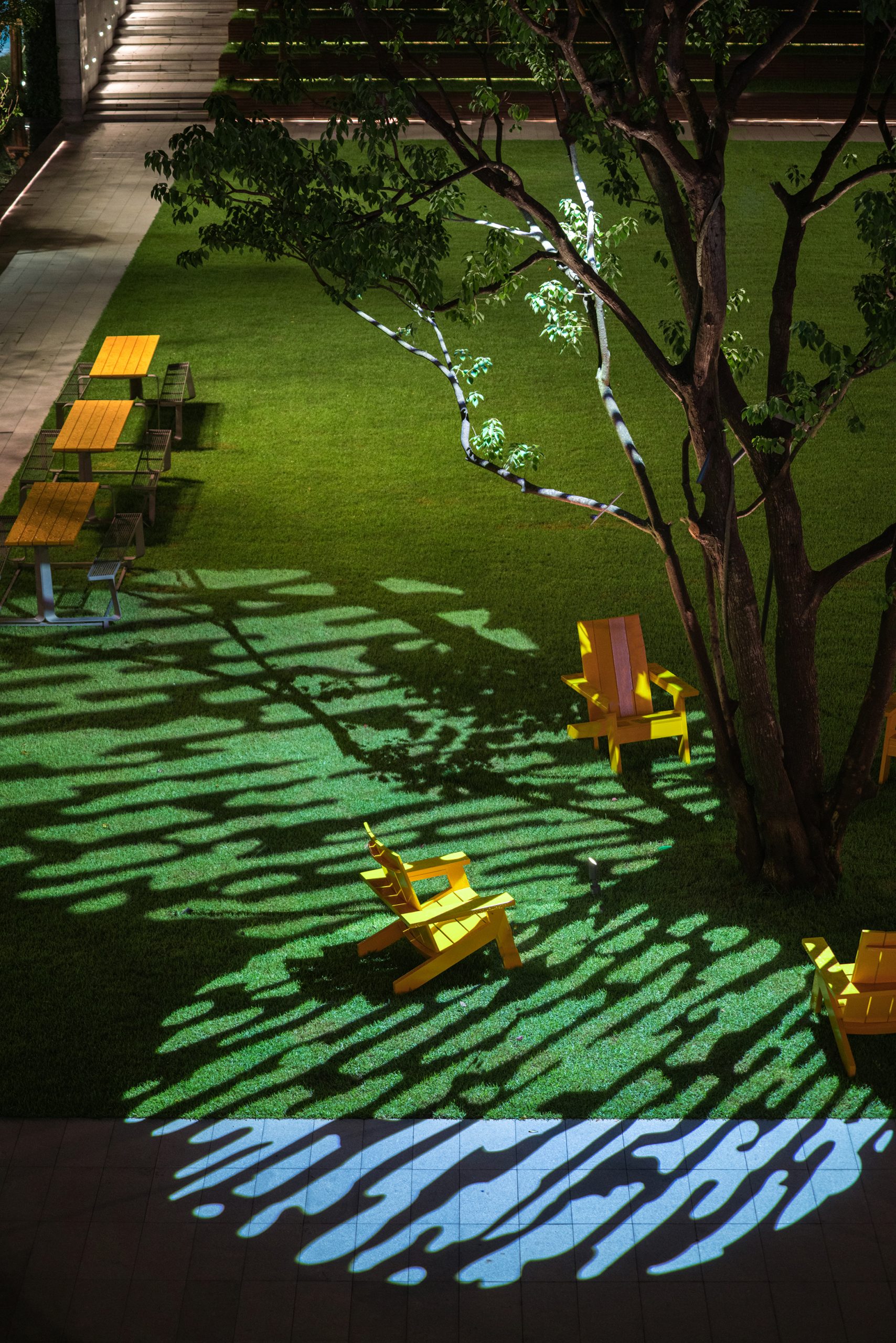 烏桕和受歡迎的桌椅 Tallow and popular tables and chairs