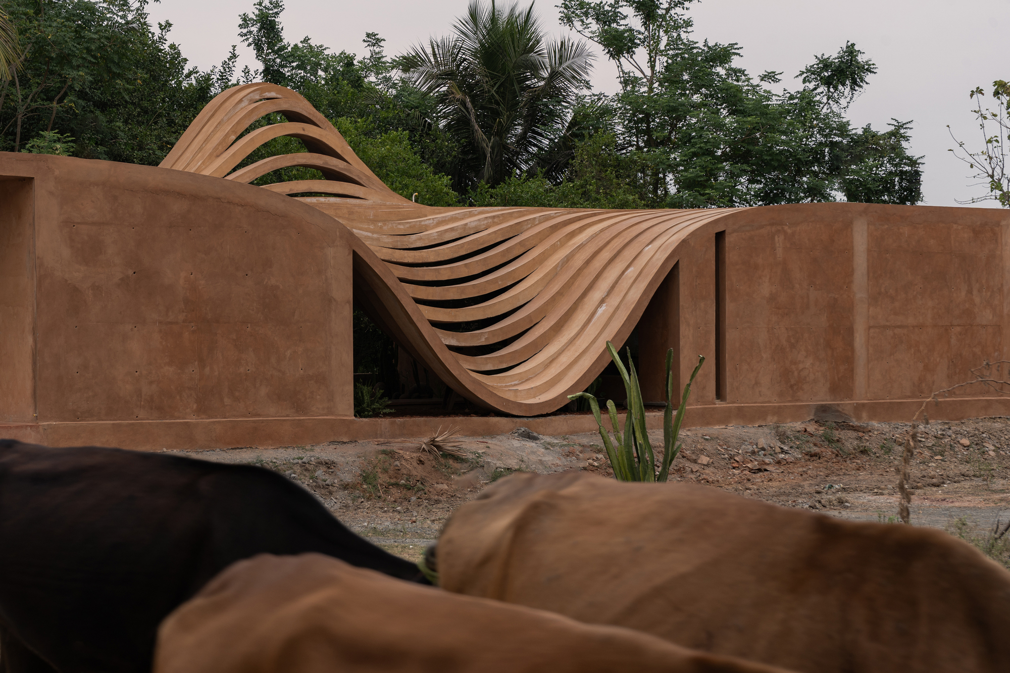 印度當代鄉土建築 Vaazh House住宅 Vy Architecture Studio