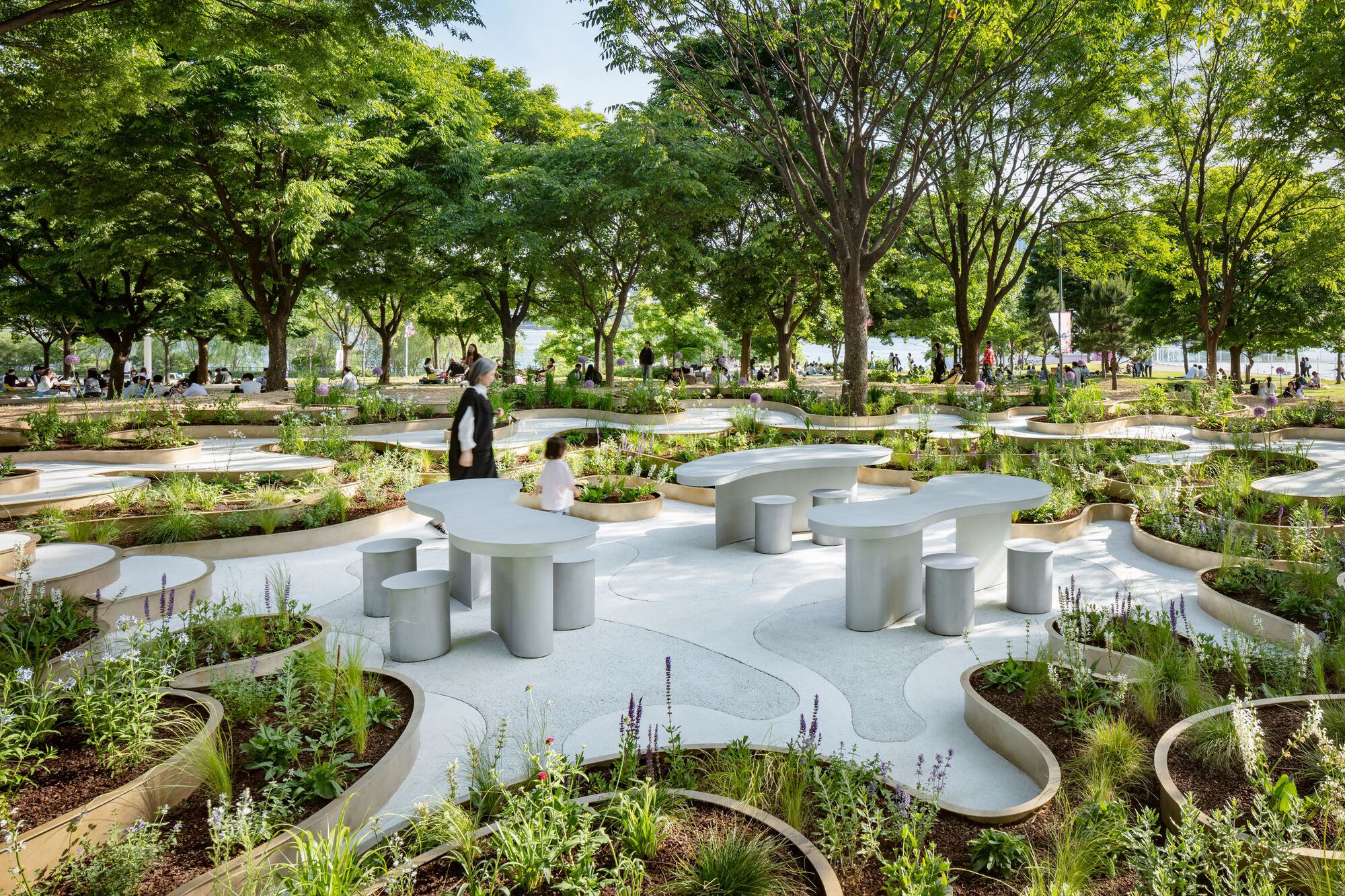 南韓花園 Immersive Resilience Garden 