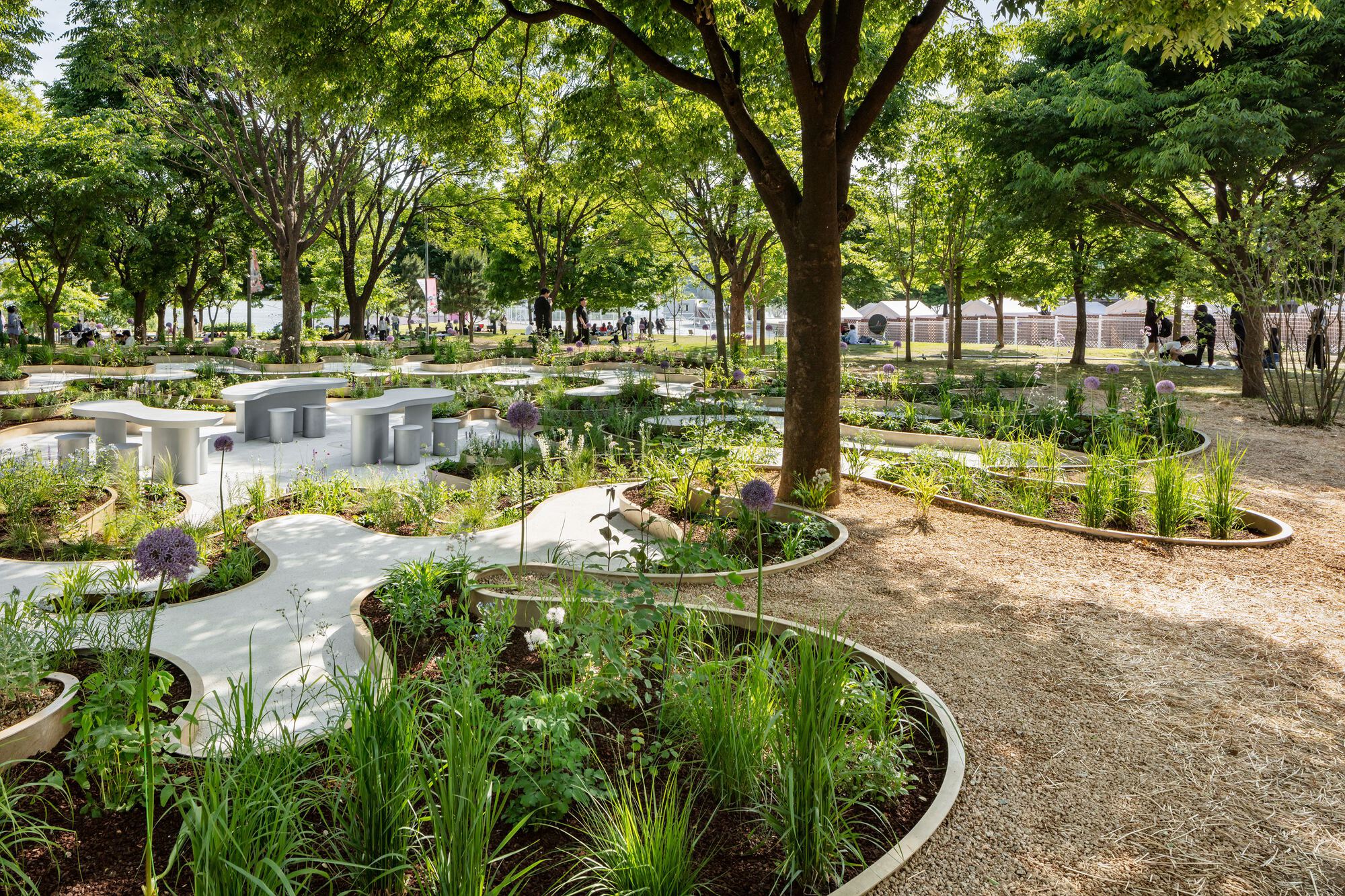 南韓花園 Immersive Resilience Garden 