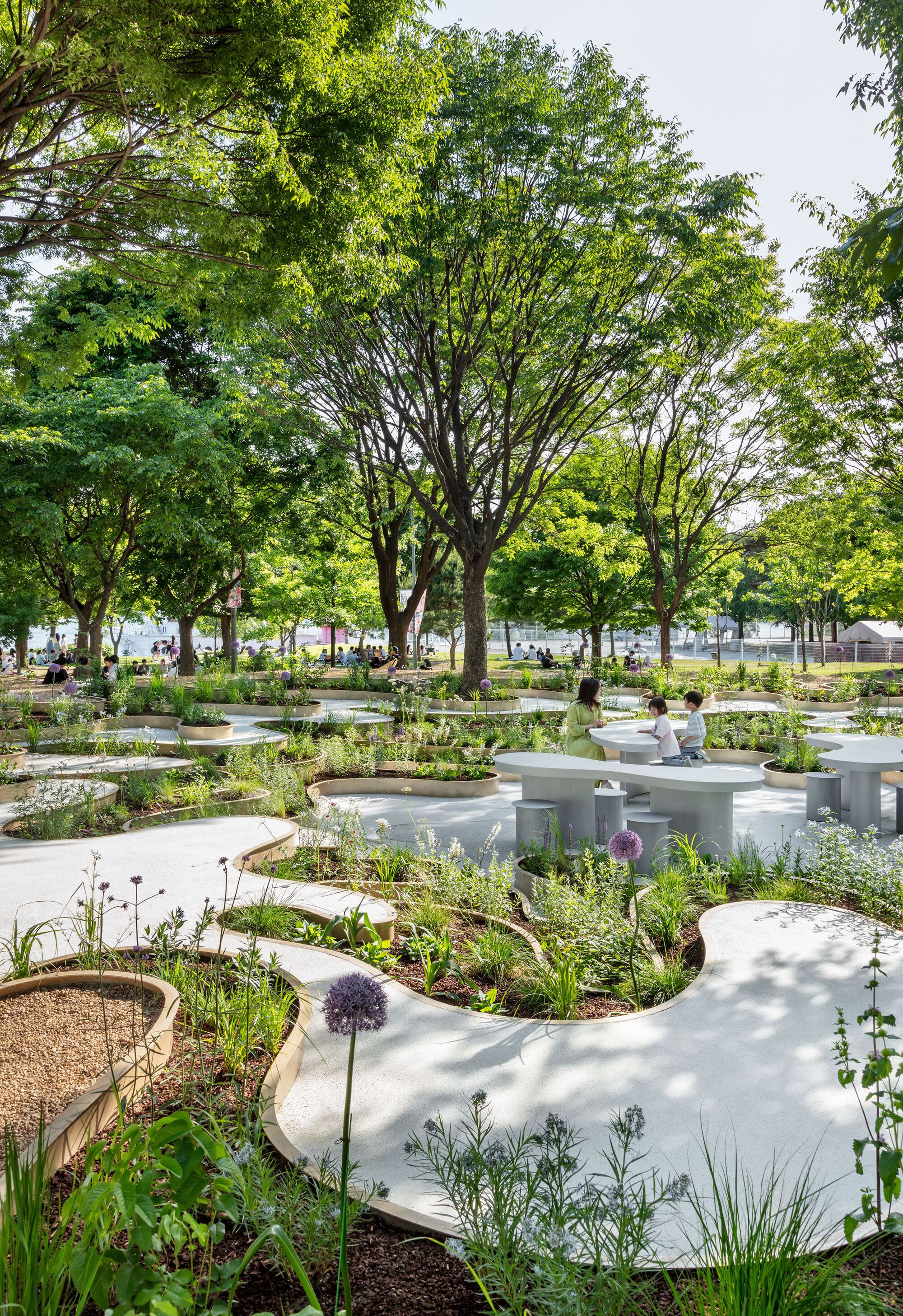 南韓花園 Immersive Resilience Garden 
