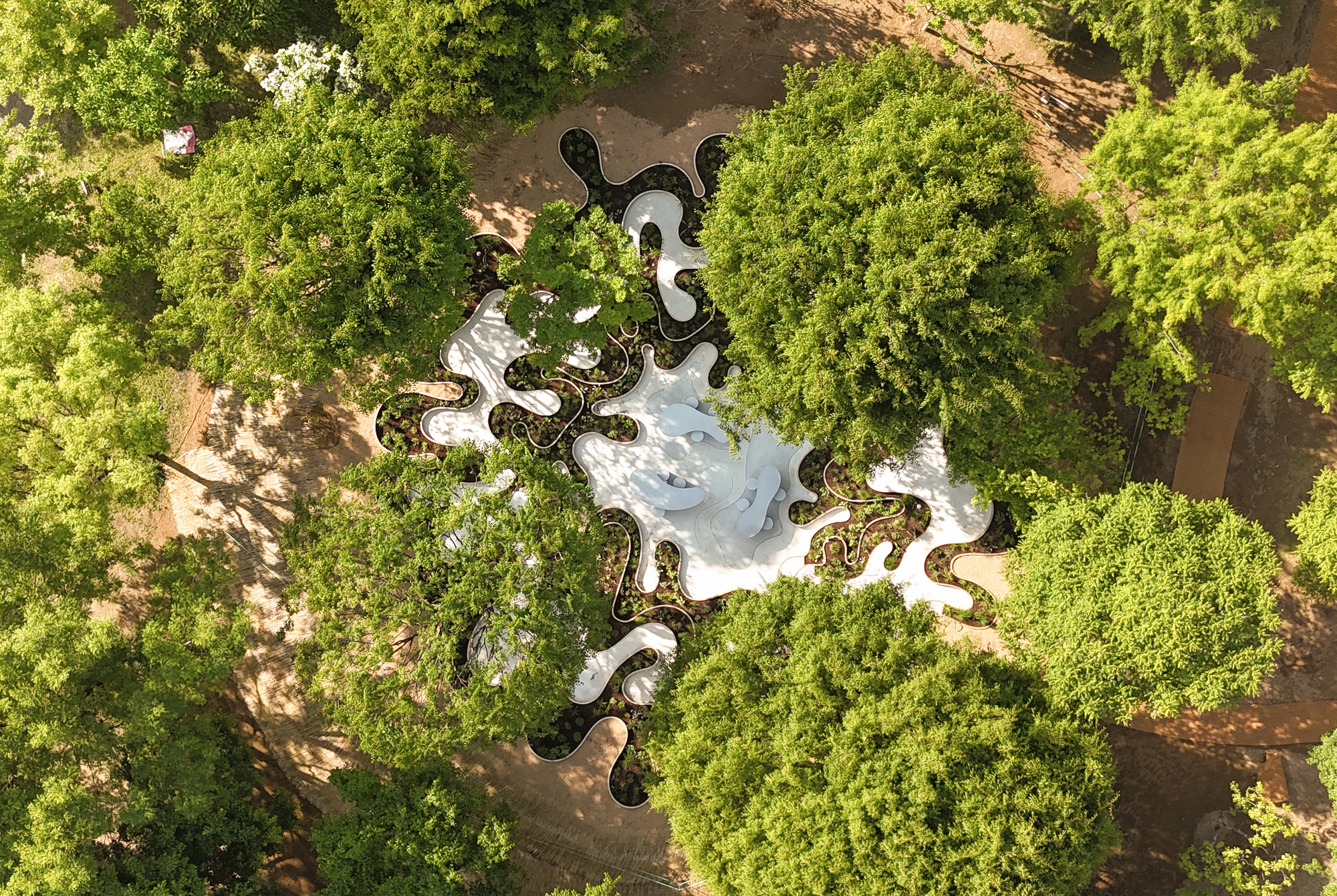 南韓花園 Immersive Resilience Garden 