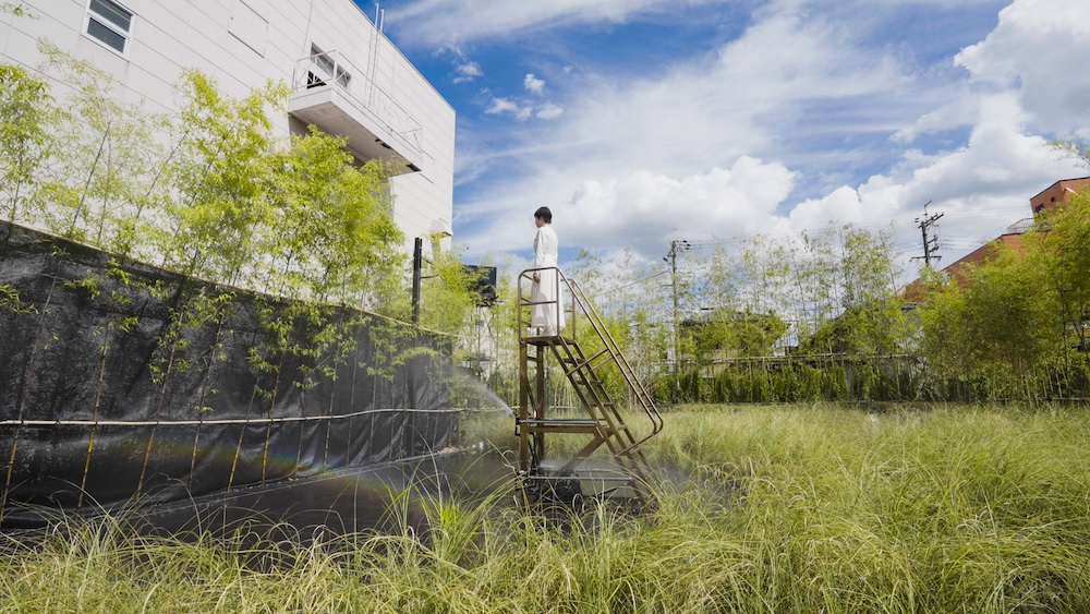 teamLab〈太陽的圓相〉2024, 數位裝置藝術, 聲音:Hideaki Takahashi © teamLab, courtesy Pace Gallery