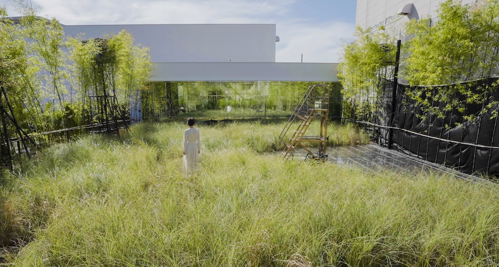 teamLab〈風與雨與太陽的草原〉2024, 裝置藝術, 聲音：Hideaki Takahashi © teamLab, courtesy Pace Gallery