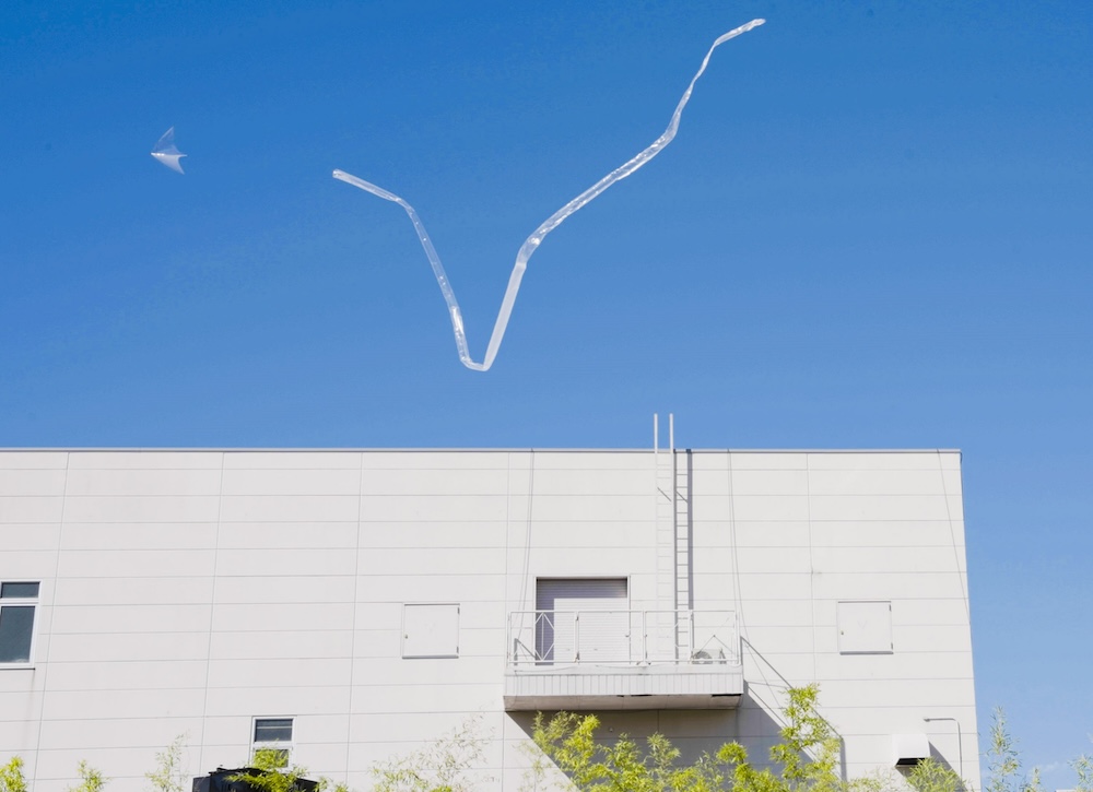 teamLab〈風與太陽的空書〉2024, 數位裝置藝術, 聲音:teamLab © teamLab, courtesy Pace Gallery