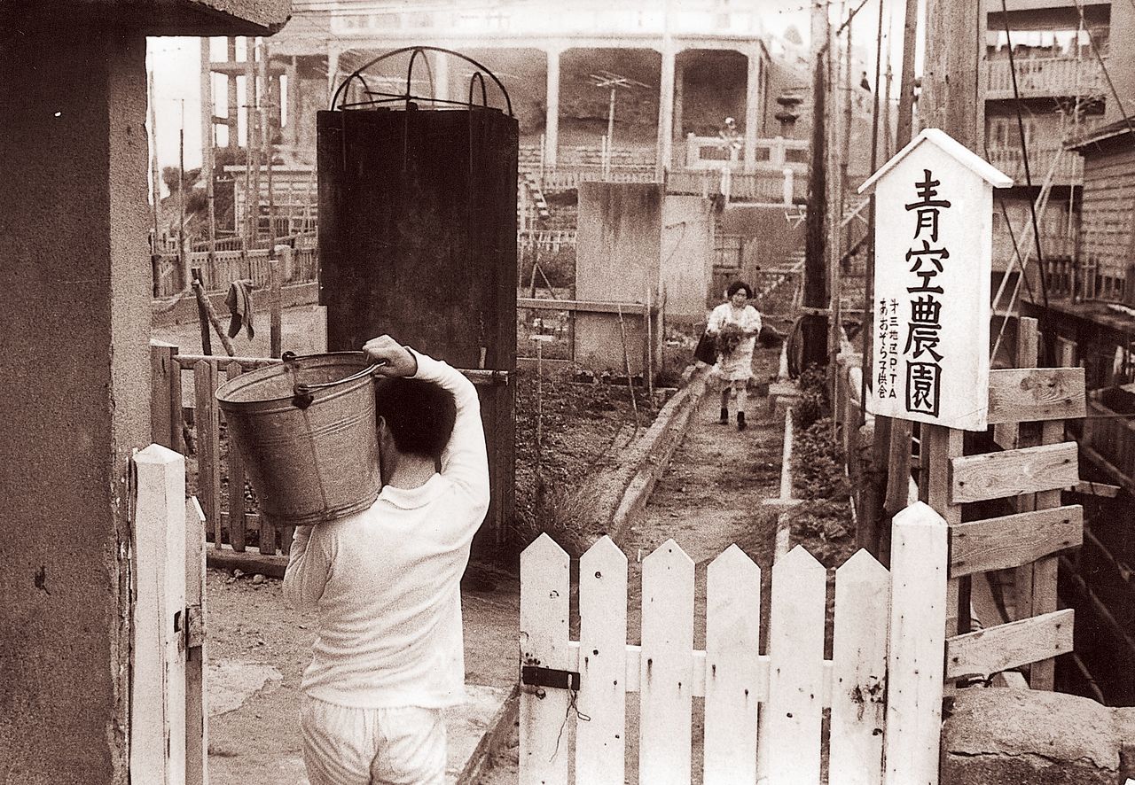 日本首座屋頂農園（軍艦島數位博物館提供）