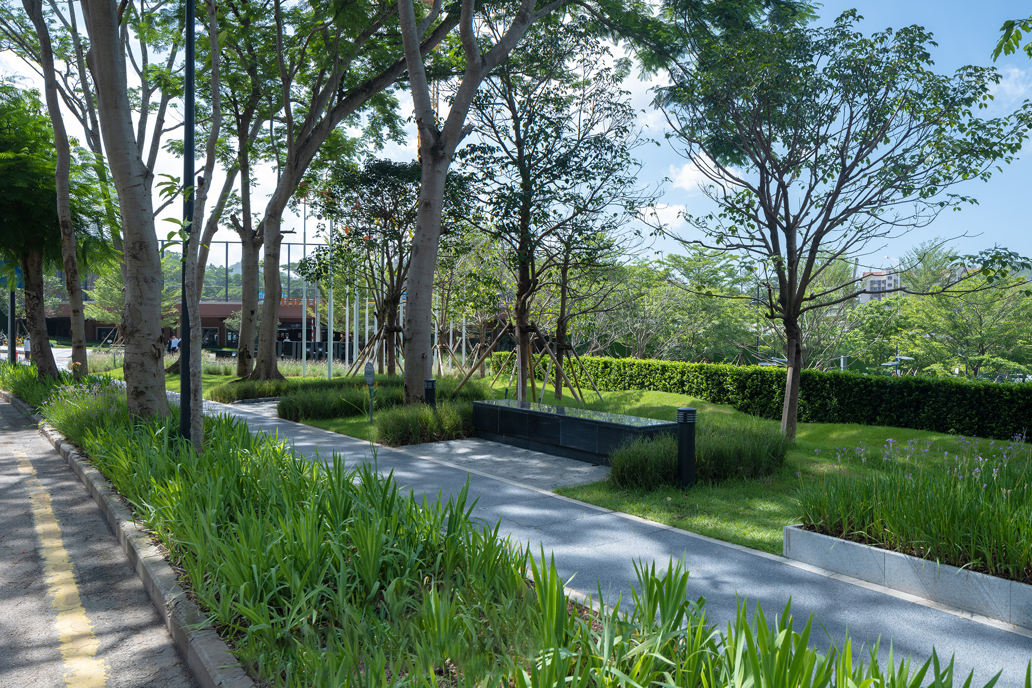 綠波雨水花園 Green Wave rain garden