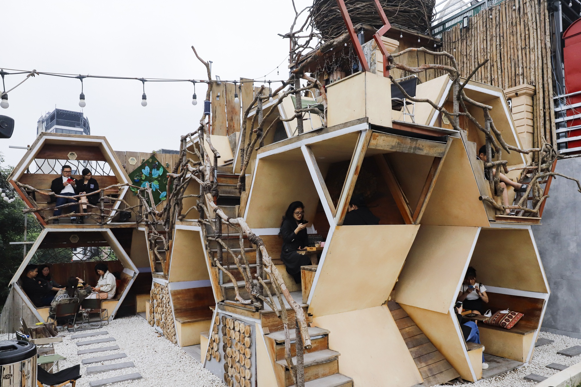 蜂巢咖啡館吸引河內年輕人 - 圖2.