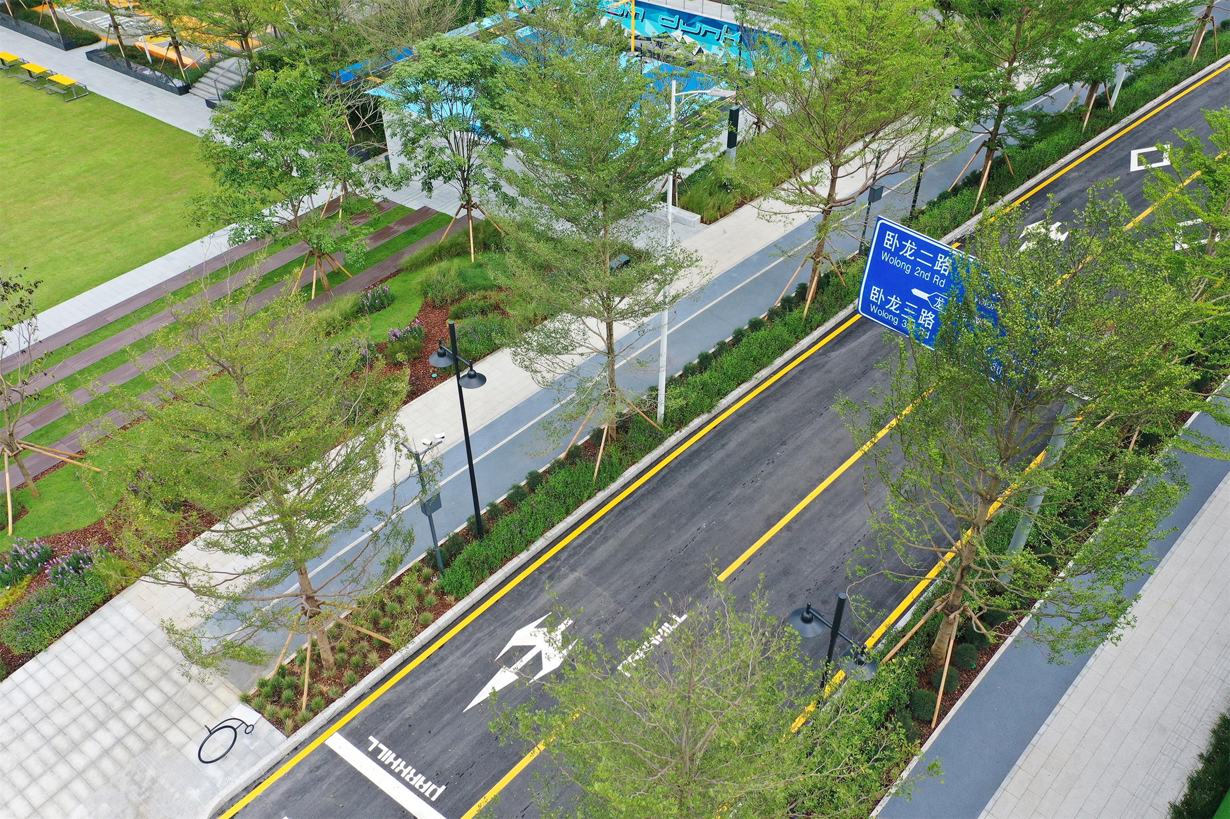 林蔭街景 Tree-lined street