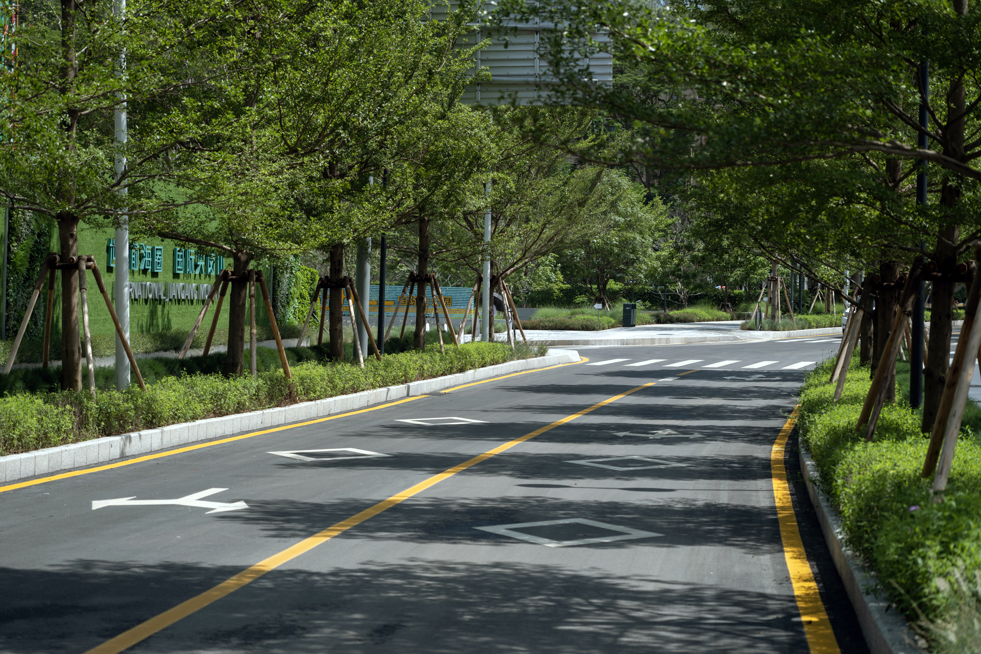 林蔭街景 ©Holi
