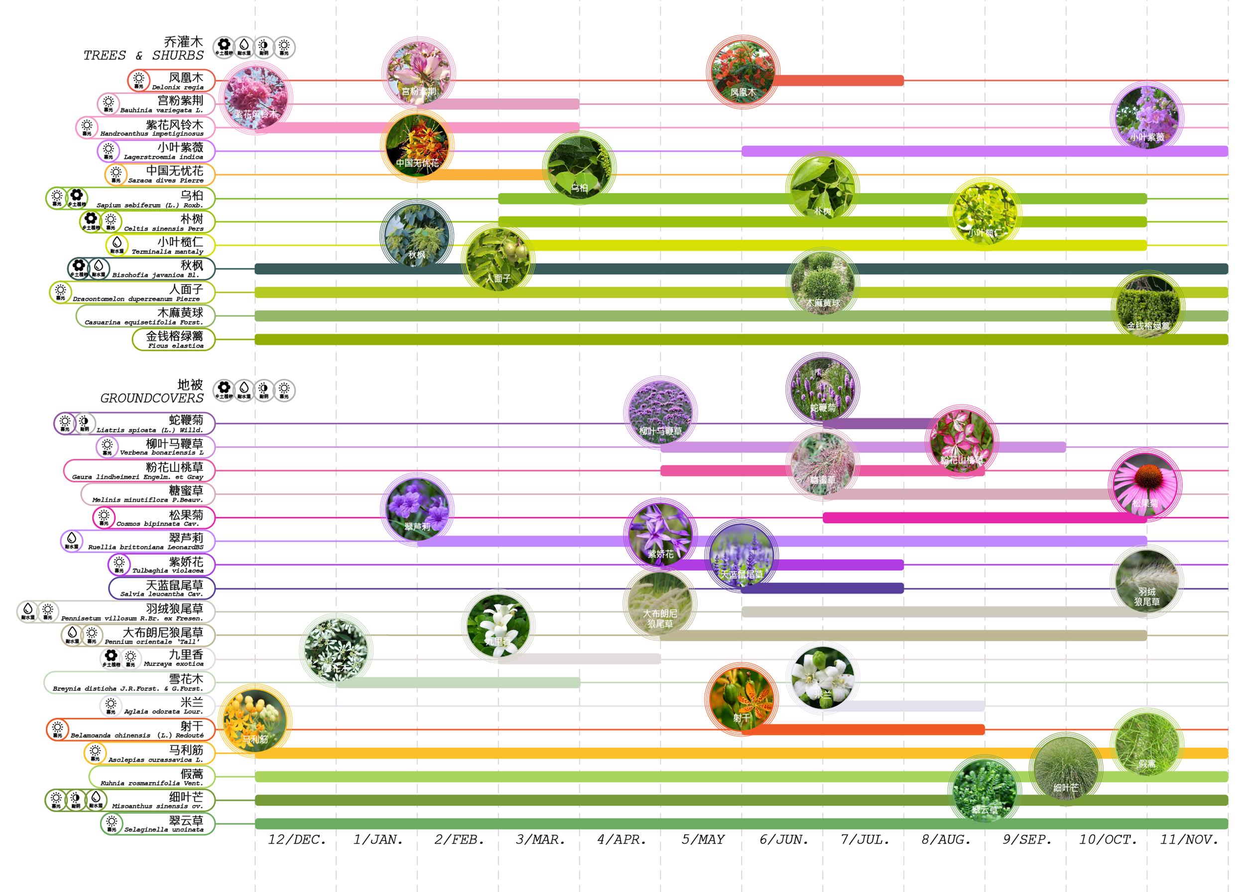 新增植栽特徵 New planting features