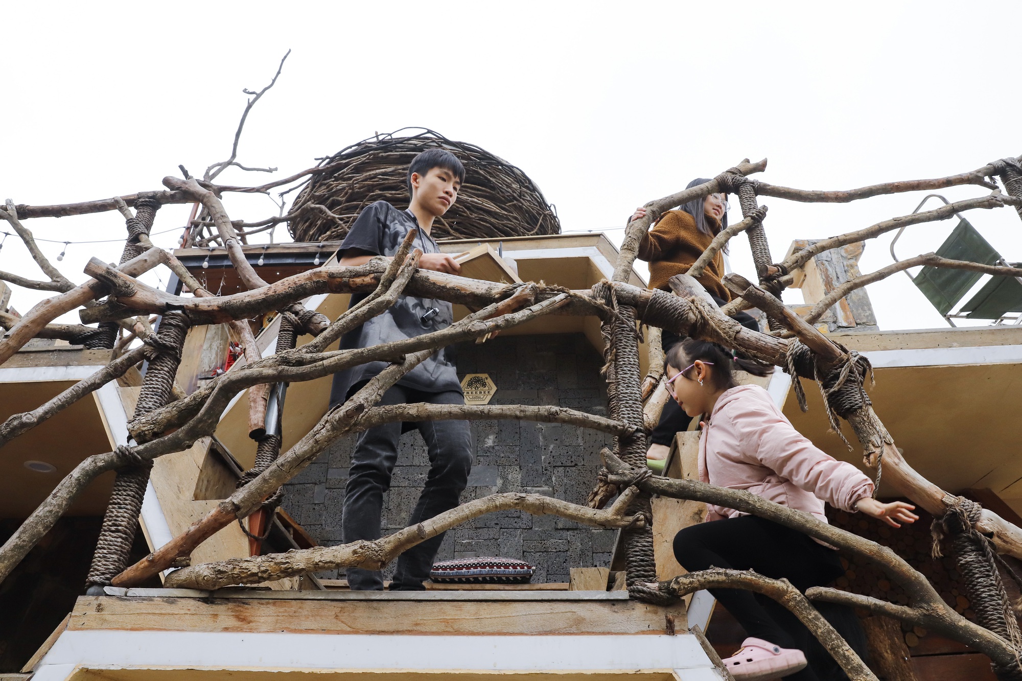 蜂巢咖啡館吸引河內年輕人 - 圖5.