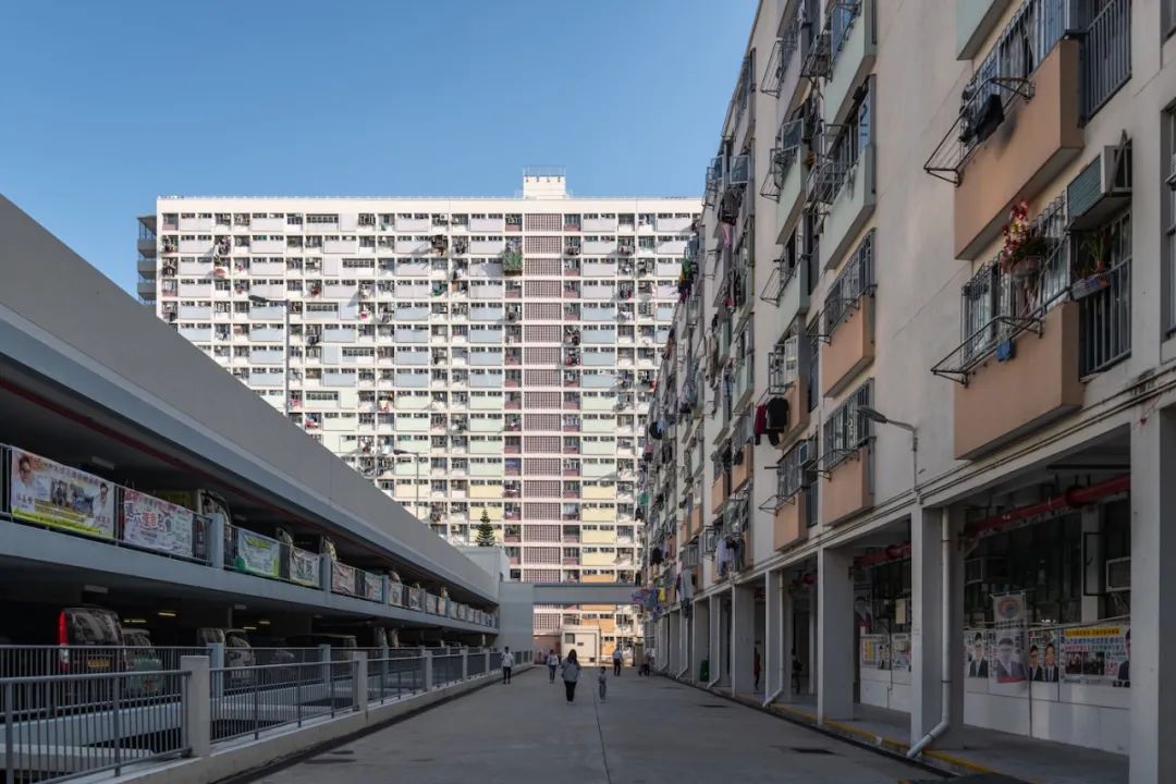 彩虹邨是香港早期興建的公共屋邨之一,更曾獲譽為「香港最美屋邨」,其佔地超過五點一公頃,坐落於九龍黃大仙區的牛池灣。彩虹邨由香港屋宇建設委員會負責發展,並由巴馬丹拿(P&T:Palmer and Turner Architects and Engineers)負責設計,其建築風格融入了包浩斯(Bauhaus)的設計元素,展現了簡潔、實用與幾何之美。由於其獨特的建築設計,彩虹邨更榮獲了香港首個建築獎項,即一九六五年香港建築師學會年度最高榮譽的「銀牌獎」,足見其在建築史上的重要地位。現時,彩虹邨由香港房屋委員會負責管理。彩虹邨為當年區內規劃較為完善的單一屋邨工程,佔地廣達二十七英畝,共有八幢二十層高的長型高座,以及三幢七層高的相連式低座住宅大廈。每座高座大廈設有四十個住宅單位,一樓(其中有兩個空號,分別作為各單位的信箱及委員會會址)並設有四部升降機服務各樓層,由六樓起,大廈內部各翼皆設有遊樂空間,提供居民休憩娛樂的場所。