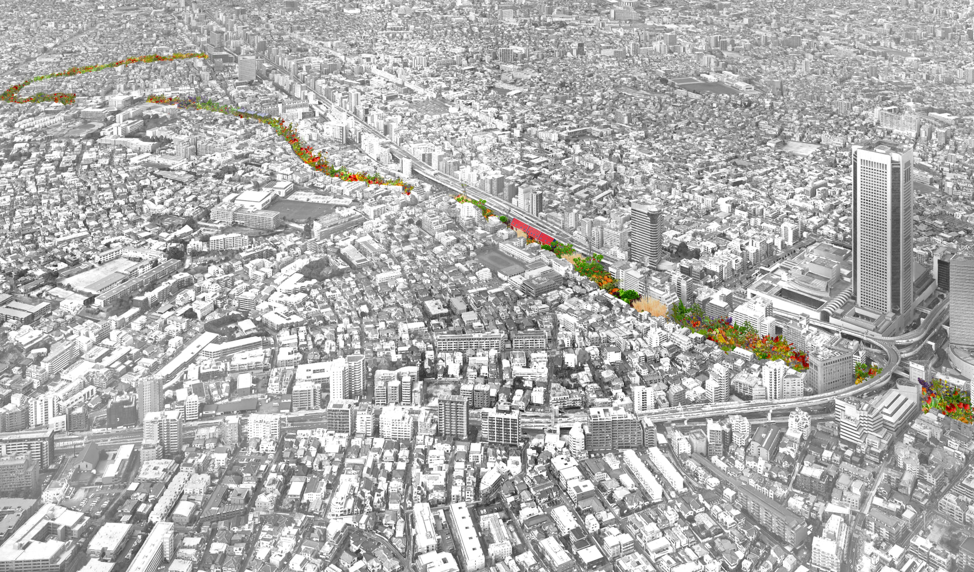 東京都澀谷區「玉川上水舊水路綠道」整建計畫概念圖